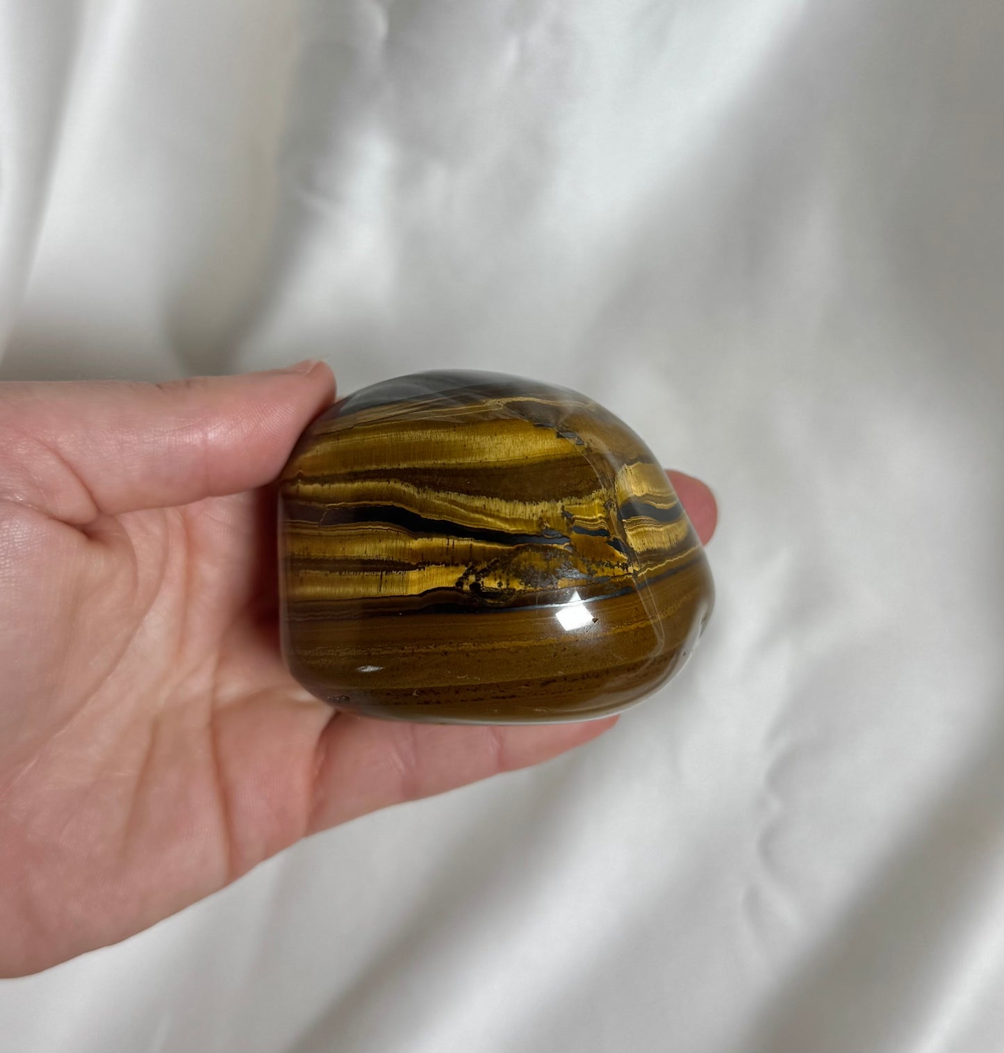 Tijgerijzer Geslepen Nr. 526