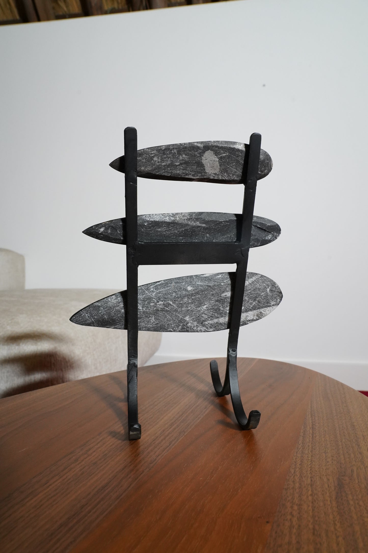Orthoceras Op Standaard