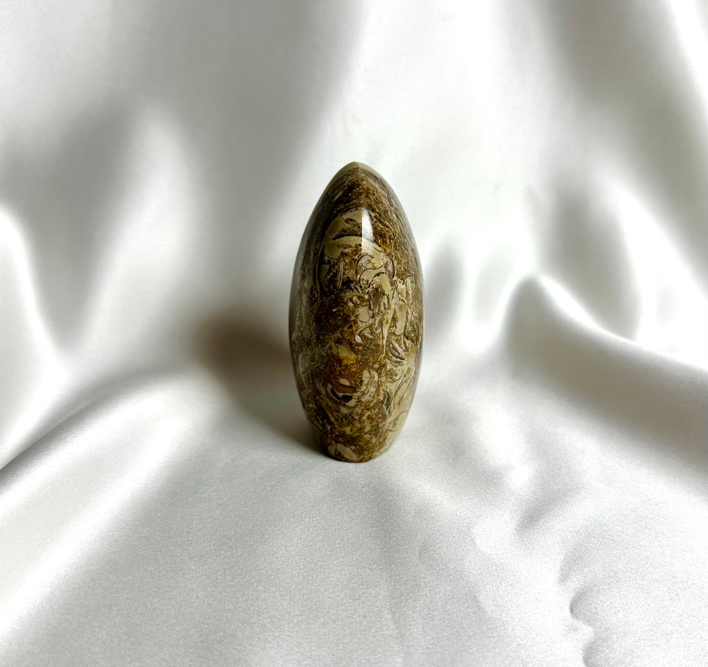 Schelp Jaspis Sculptuur Nr. 76
