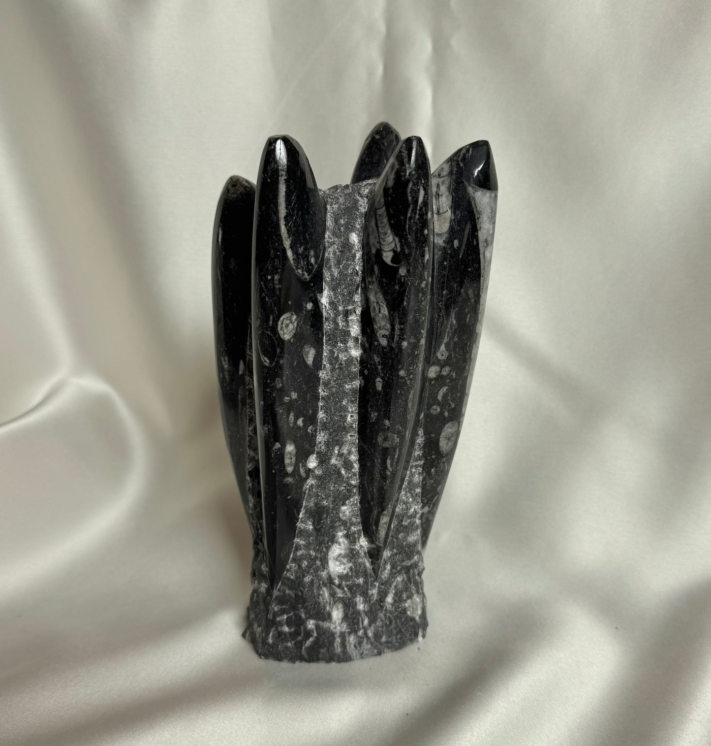 Orthoceras Fossiel Nr. 383