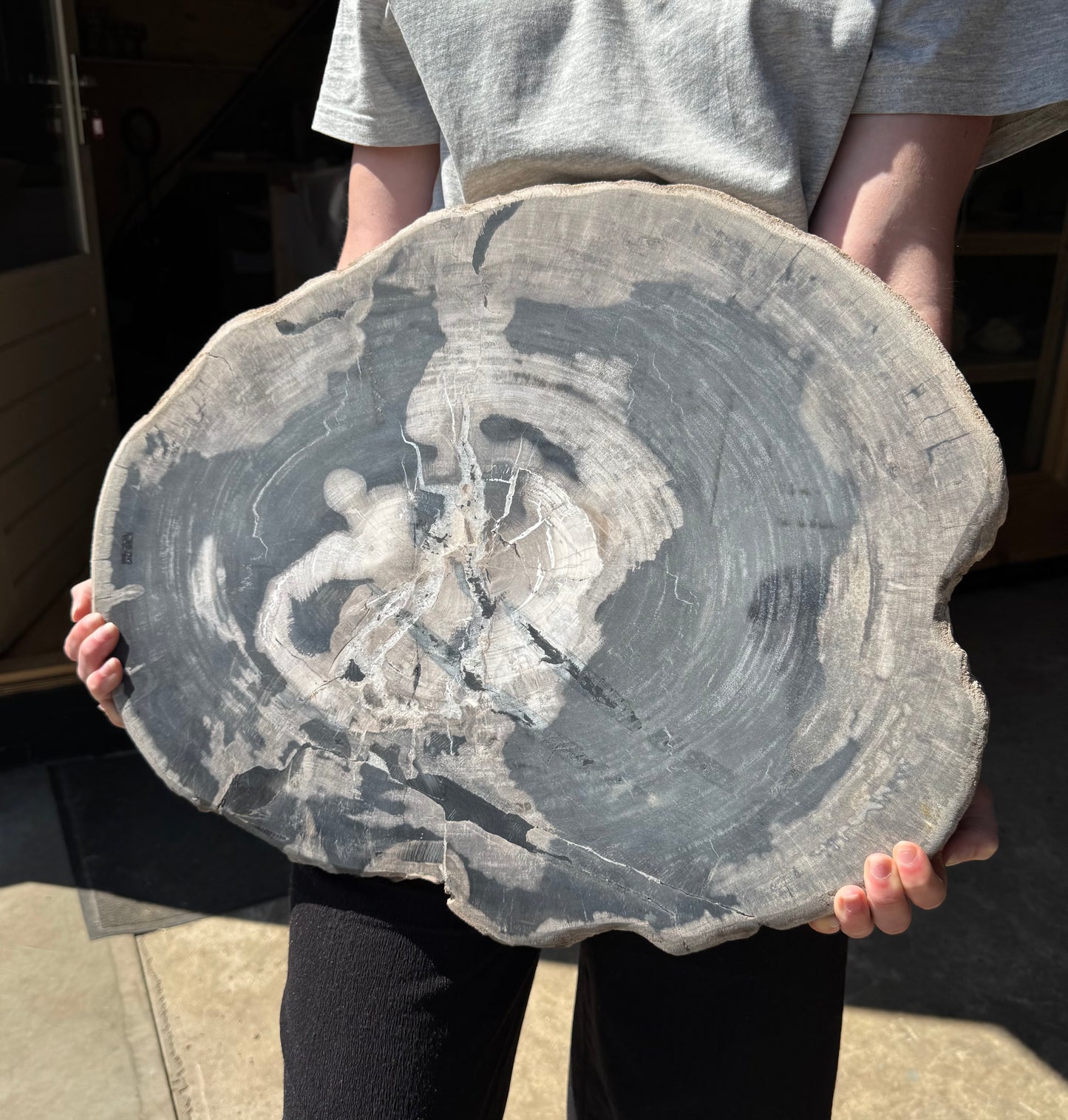 Versteend Hout 17 KG