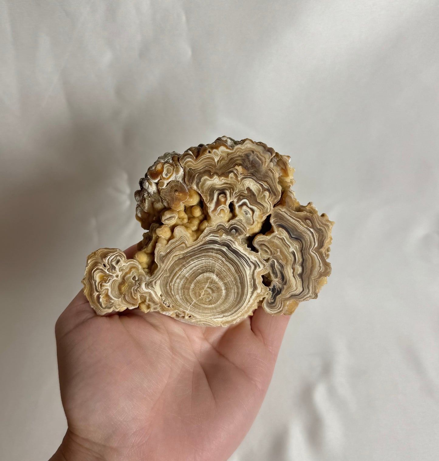 Cave Calciet Nr. 465