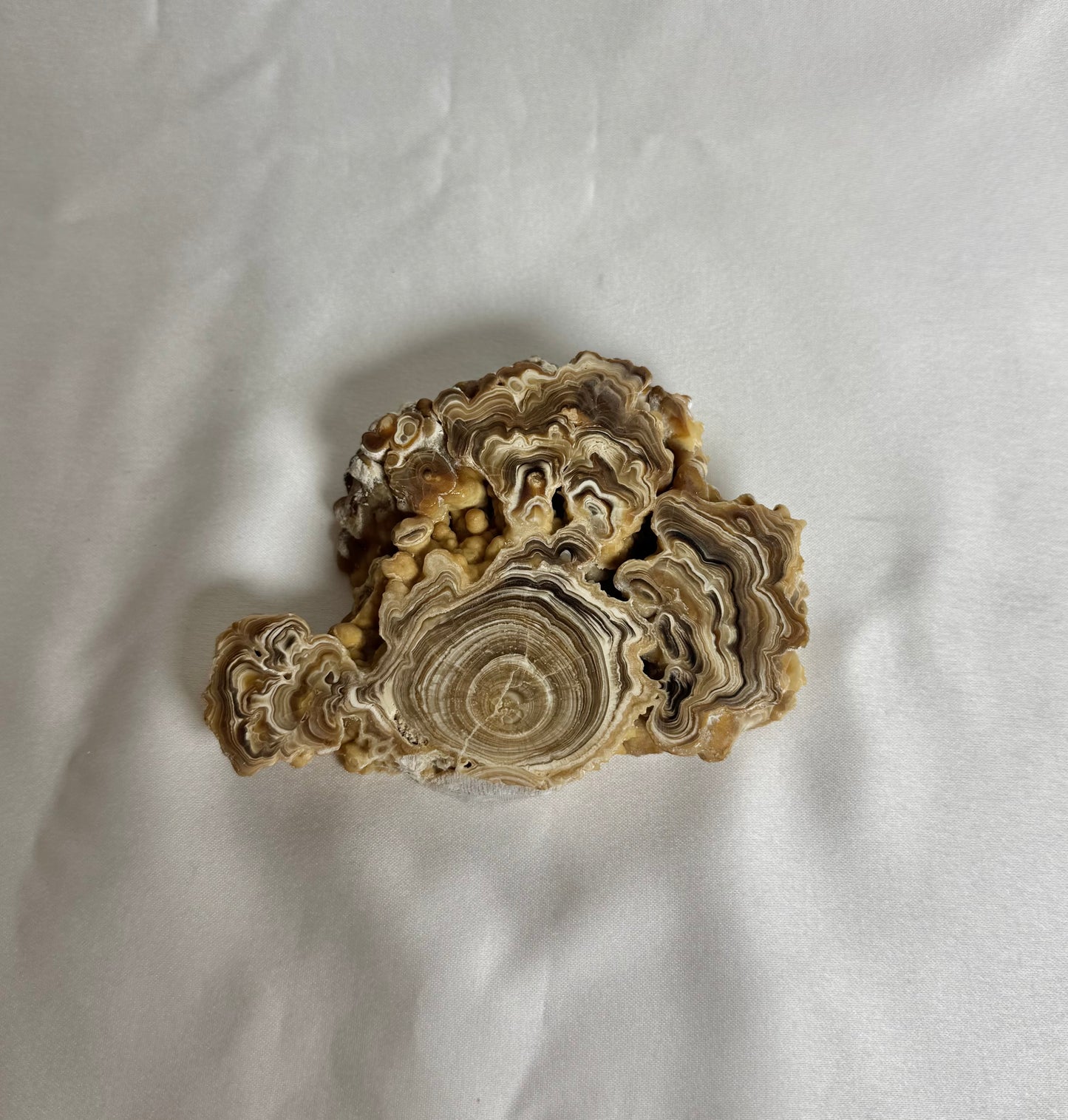 Cave Calciet Nr. 465