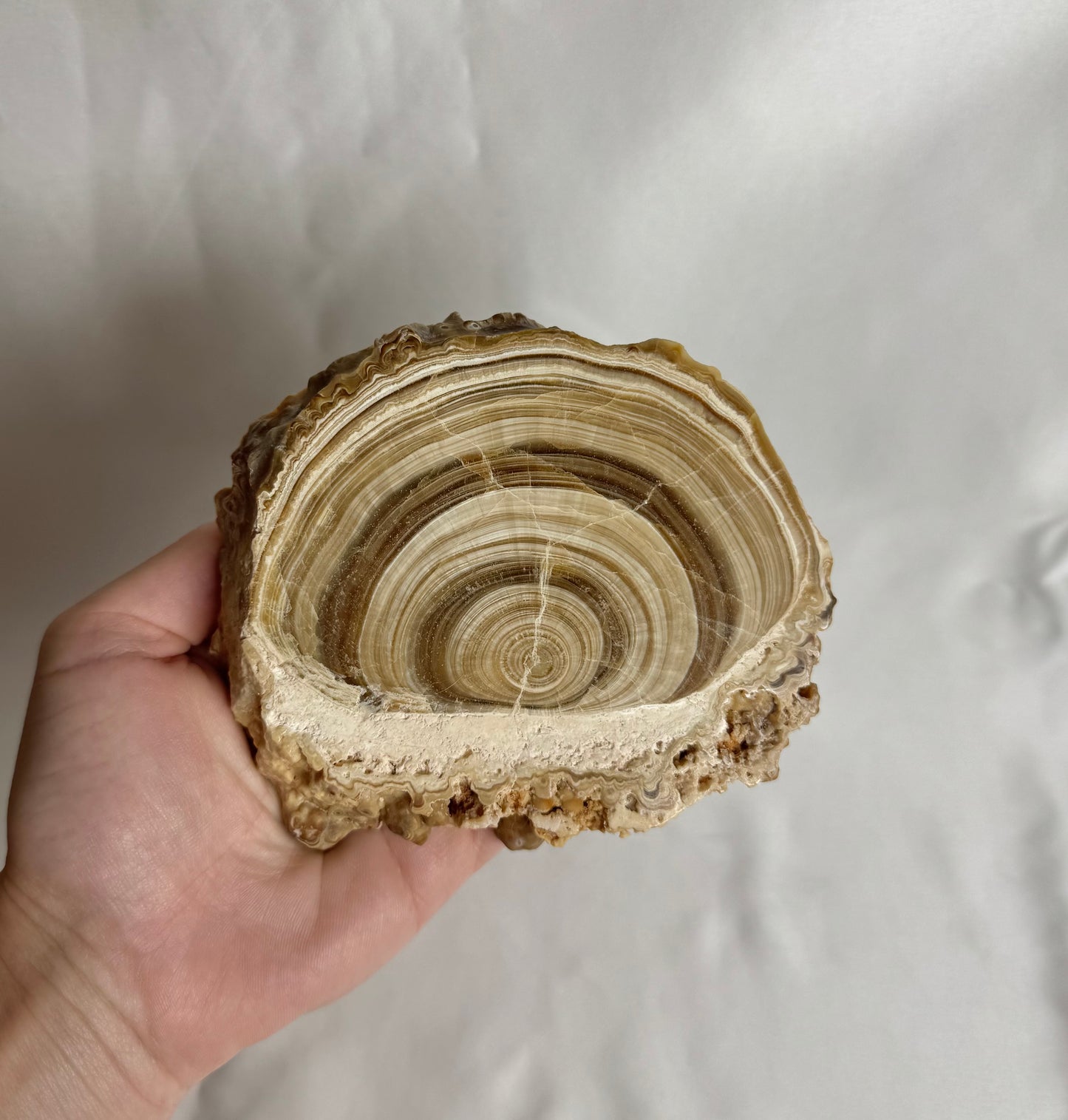 Cave Calciet Nr. 468