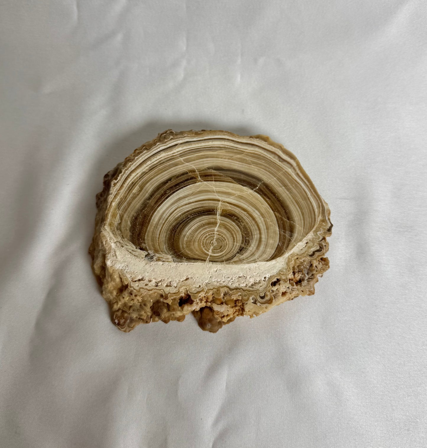 Cave Calciet Nr. 468