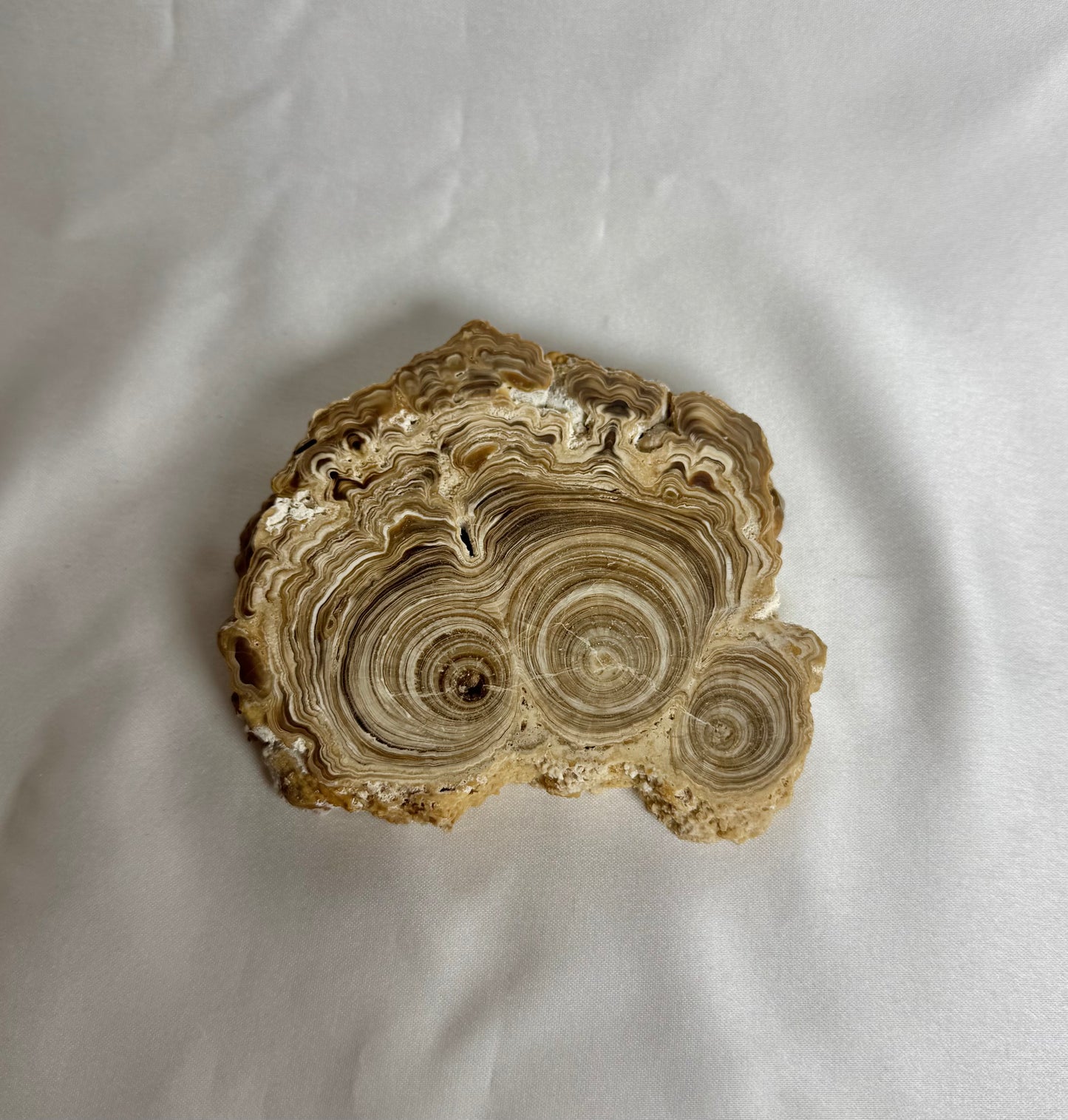 Cave Calciet Nr. 471