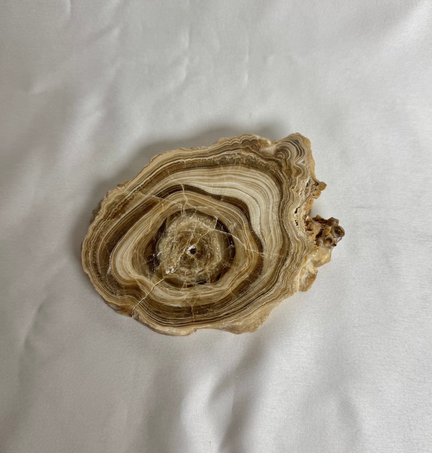 Cave Calciet Nr. 476