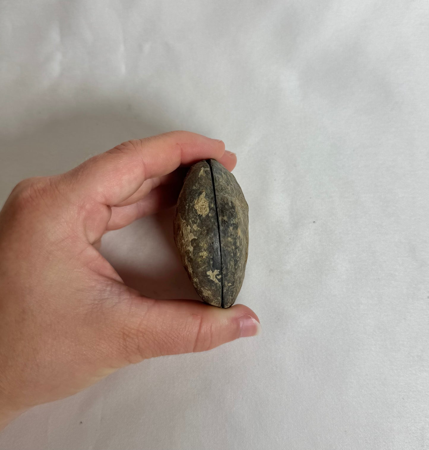 Septarie Paar