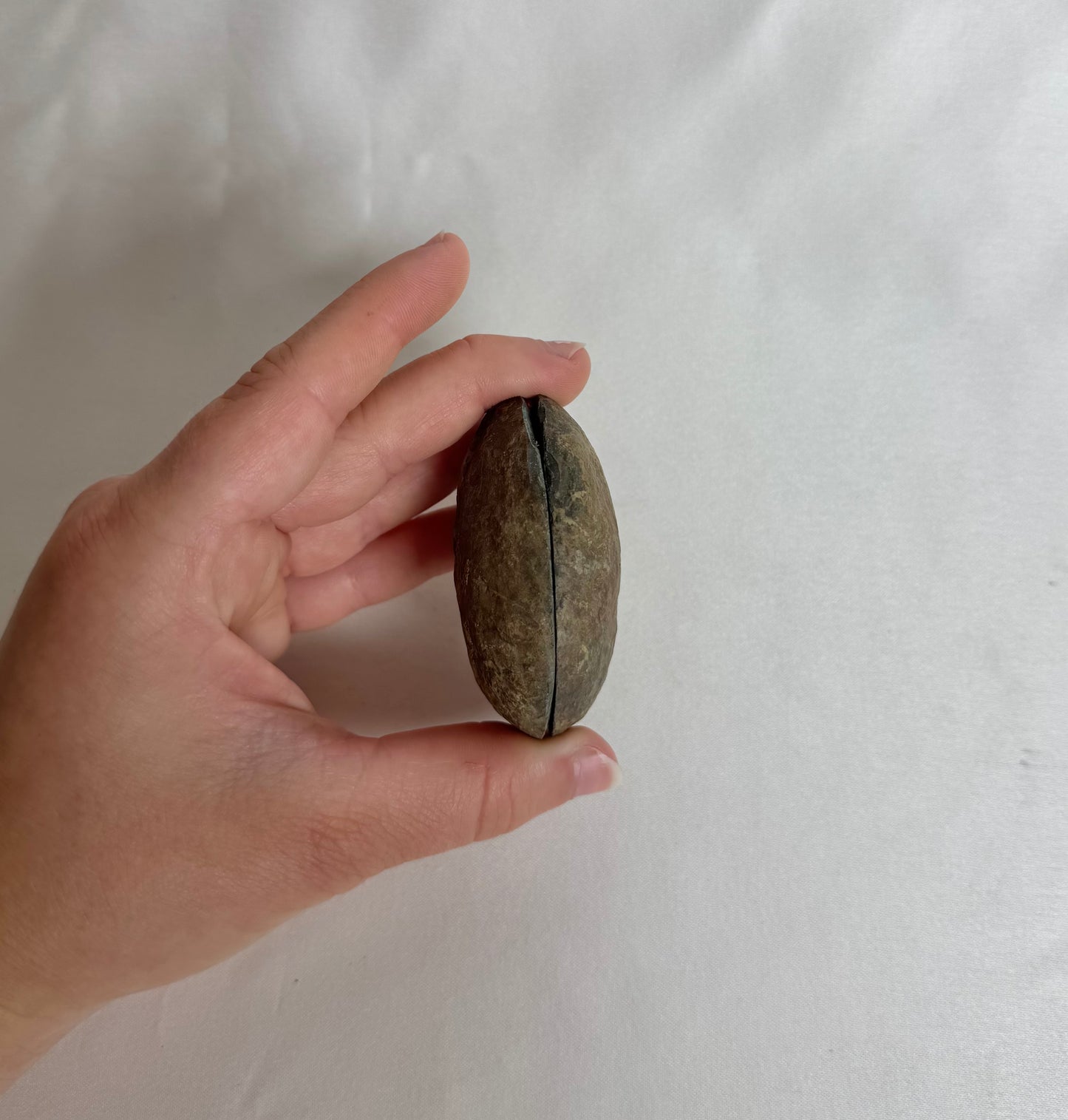 Septarie Paar