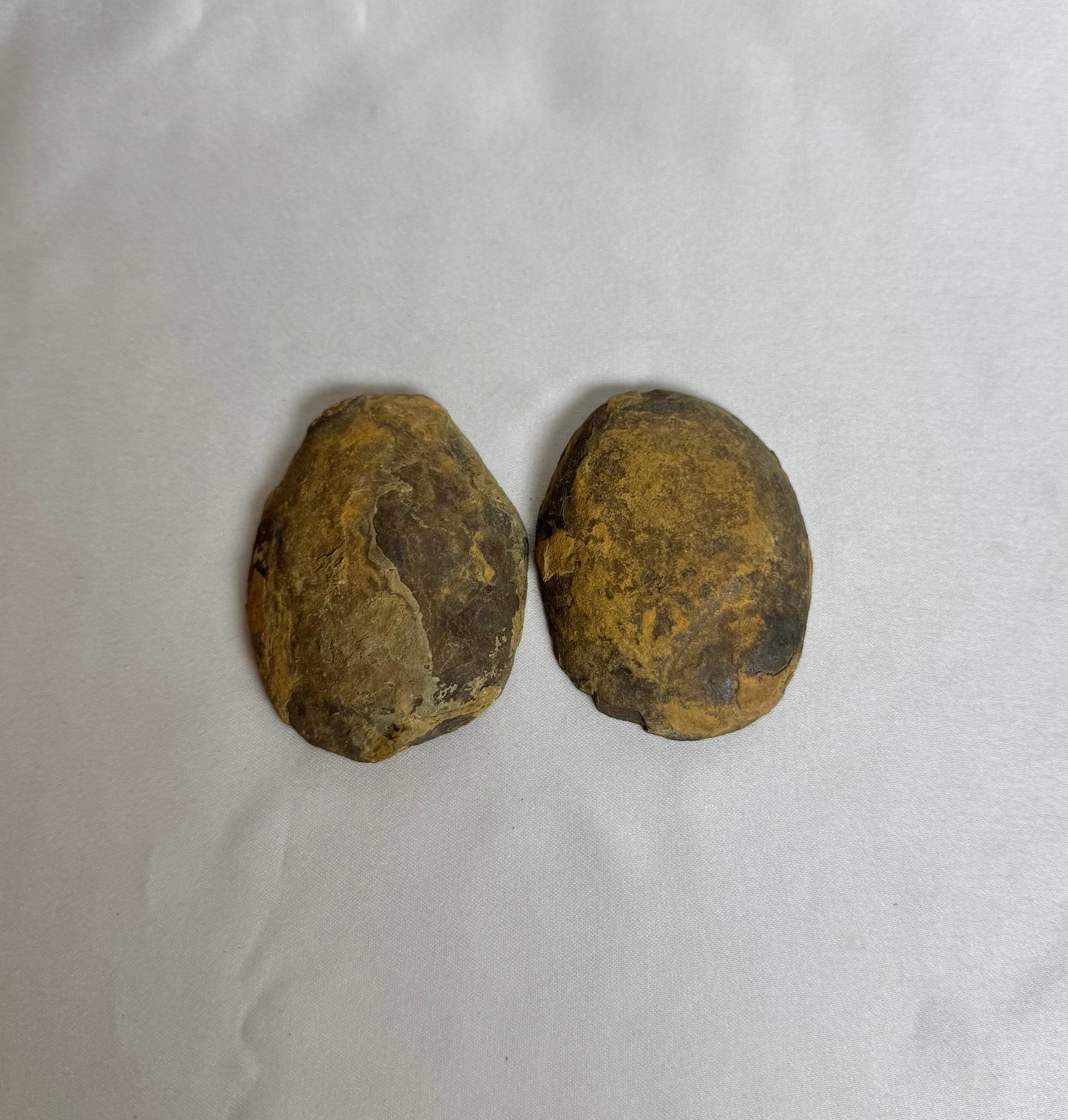 Septarie Paar