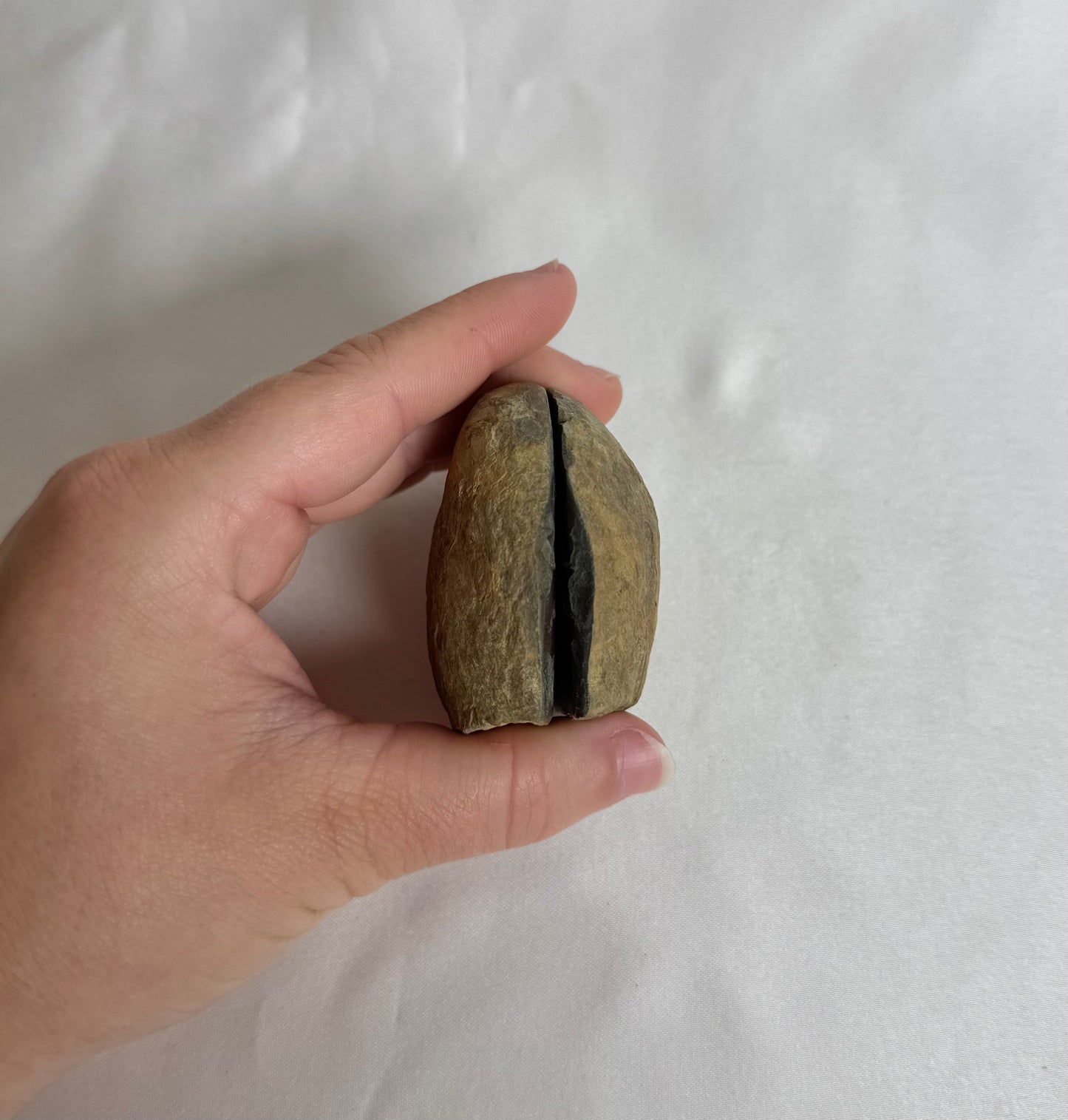 Septarie Paar