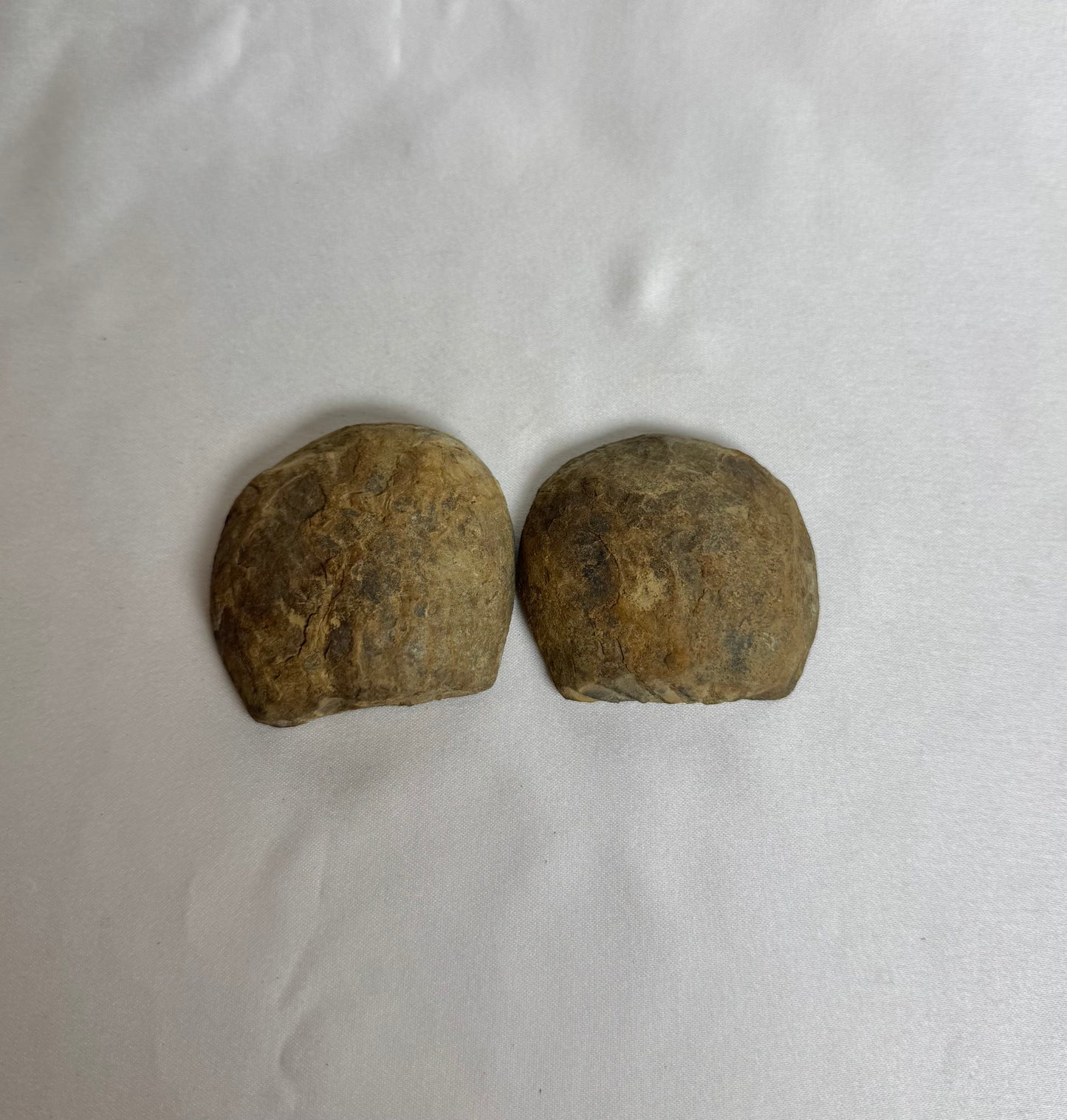 Septarie Paar