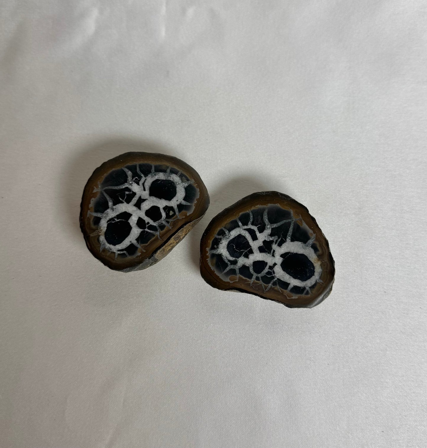 Septarie Paar