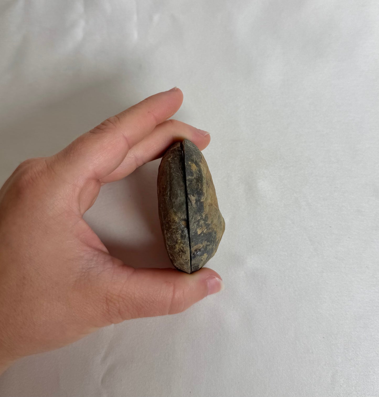 Septarie Paar