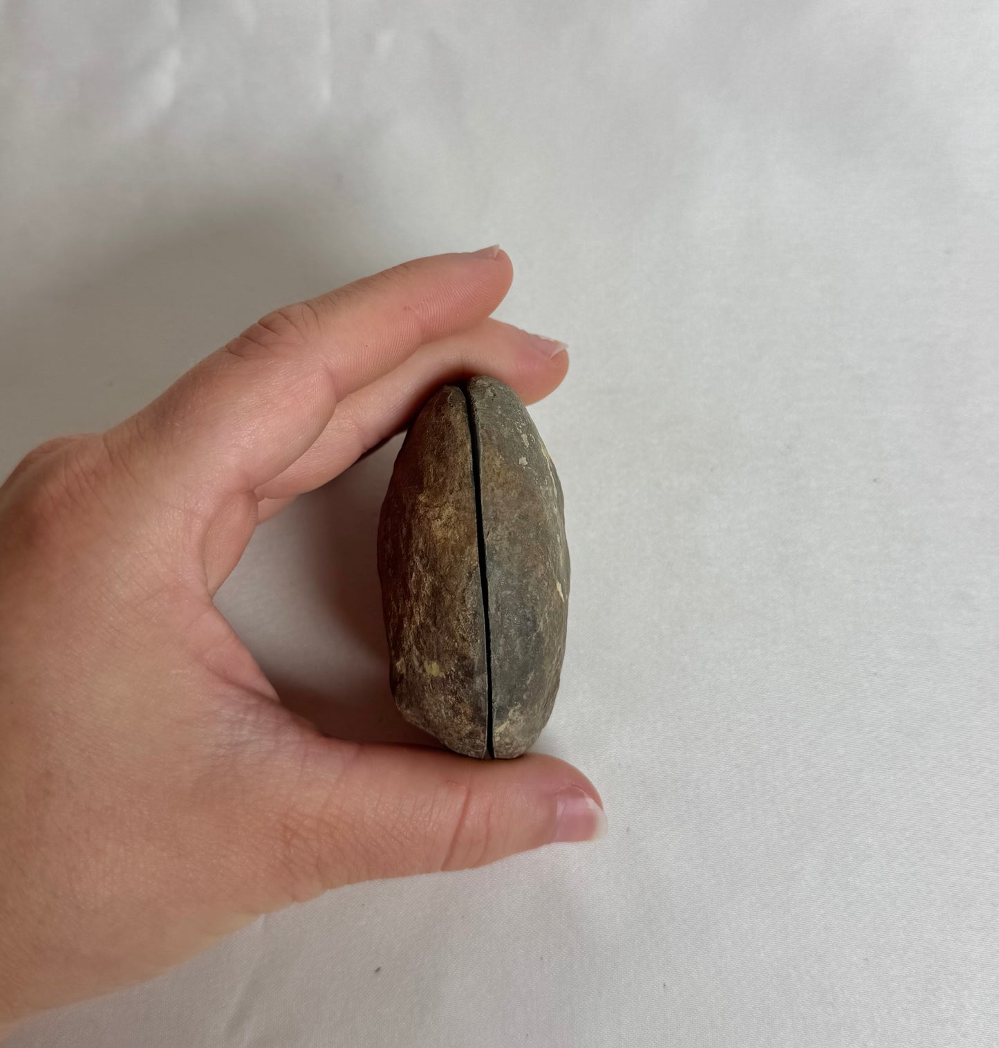 Septarie Paar