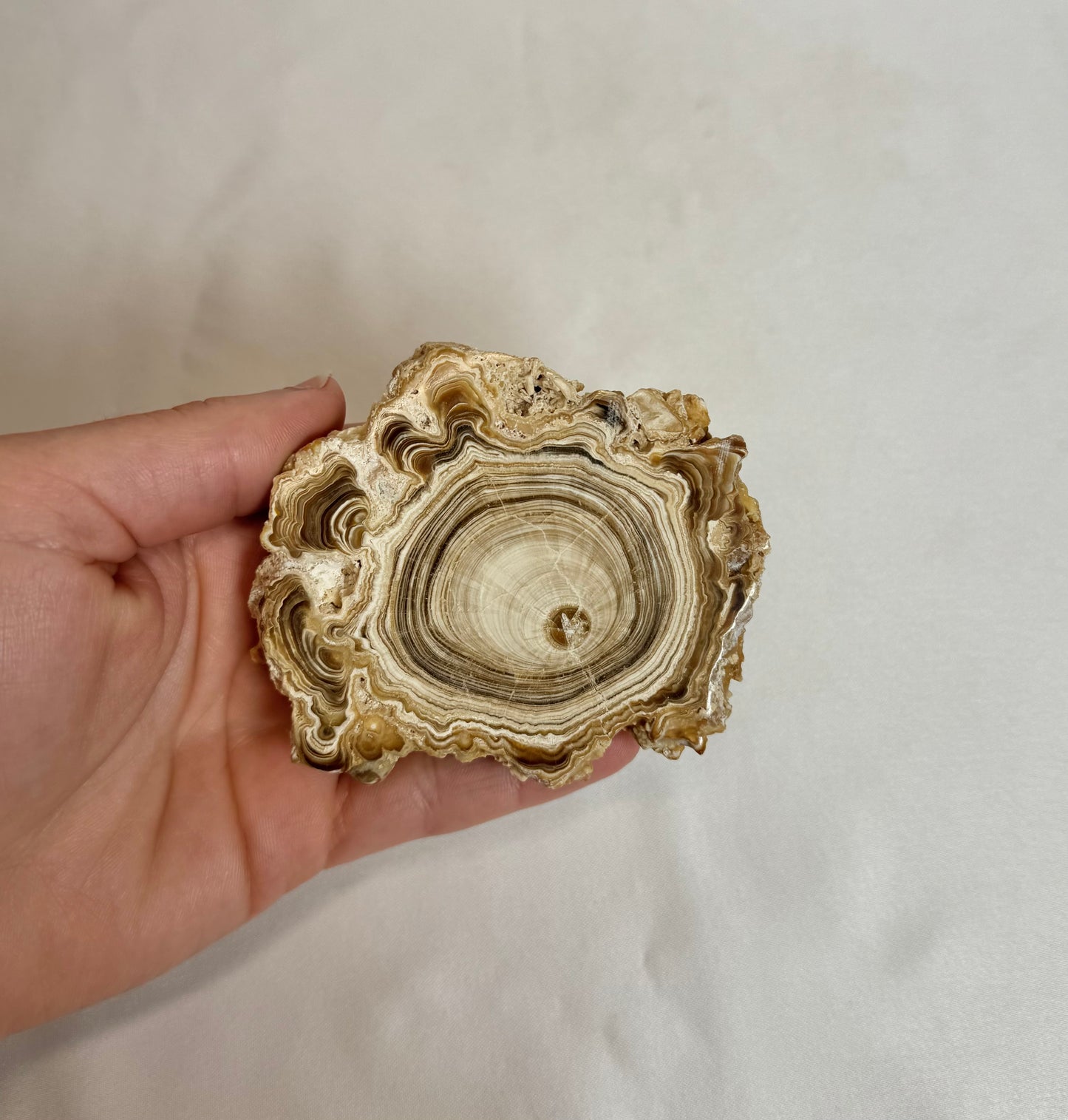 Cave Calciet Nr. 503