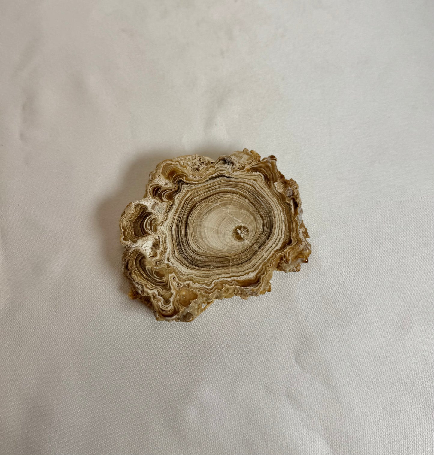 Cave Calciet Nr. 503