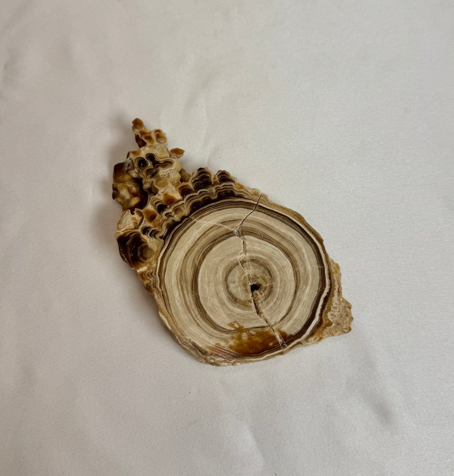 Cave Calciet Nr. 506