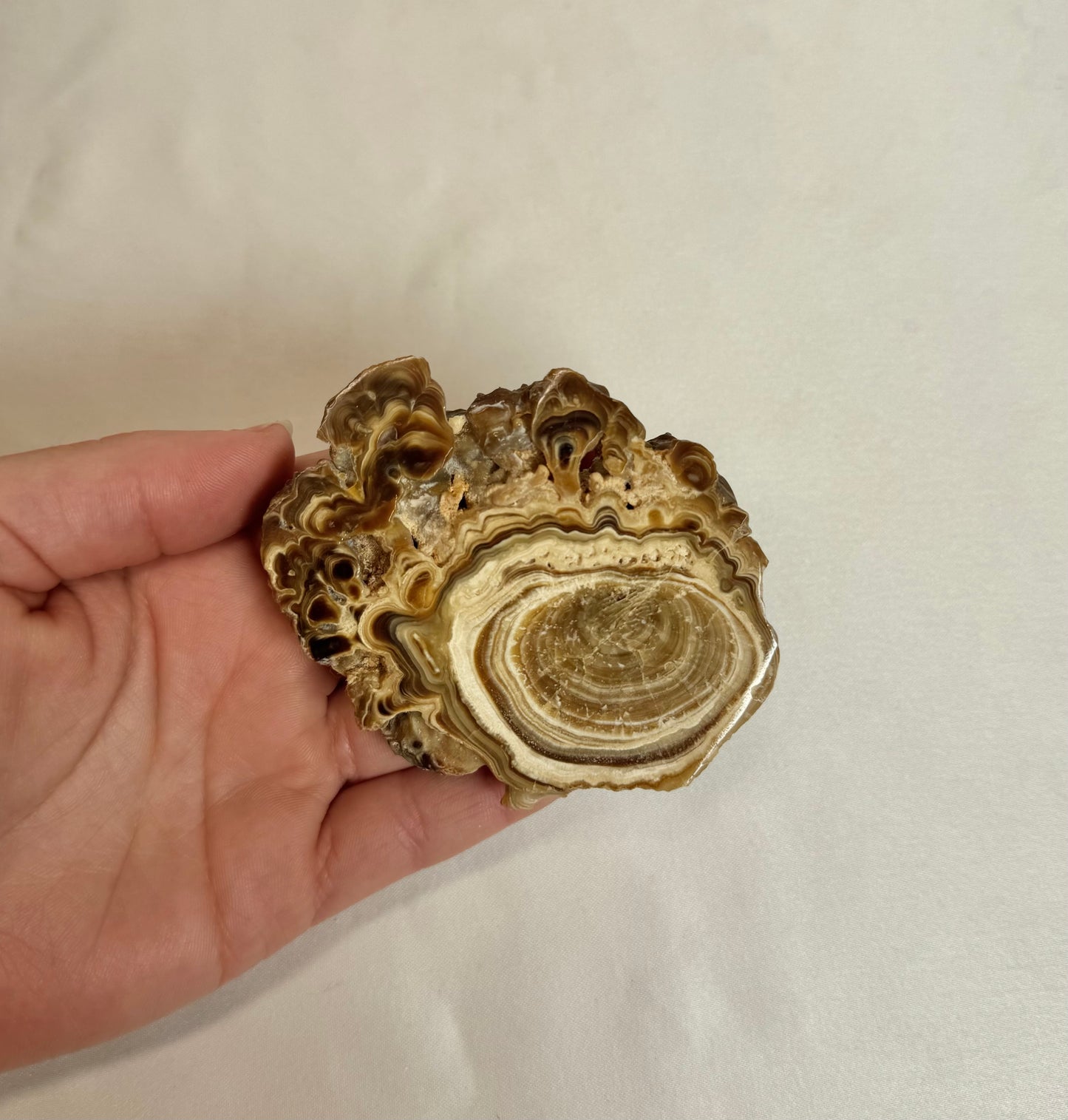 Cave Calciet Nr. 507