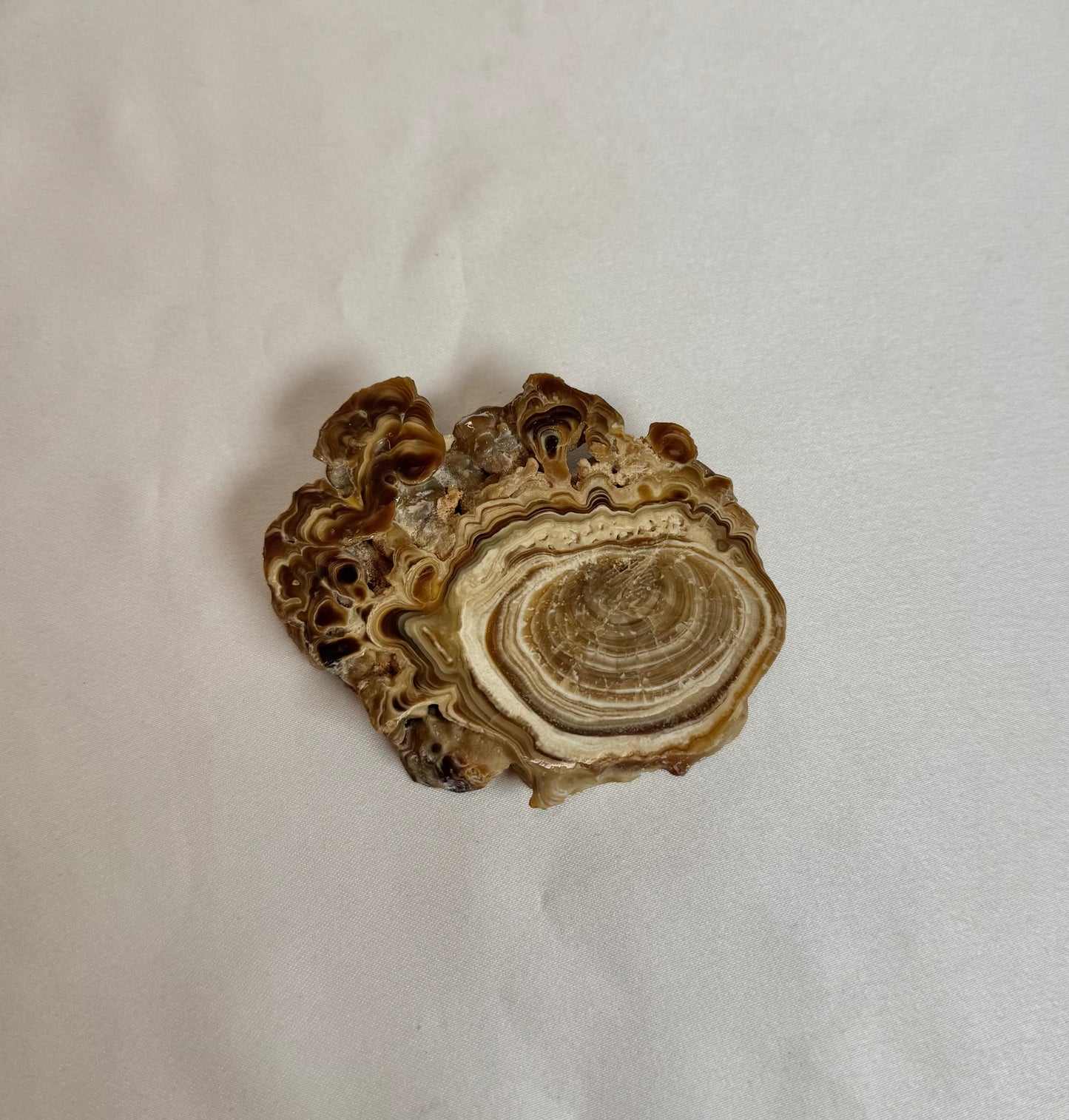 Cave Calciet Nr. 507