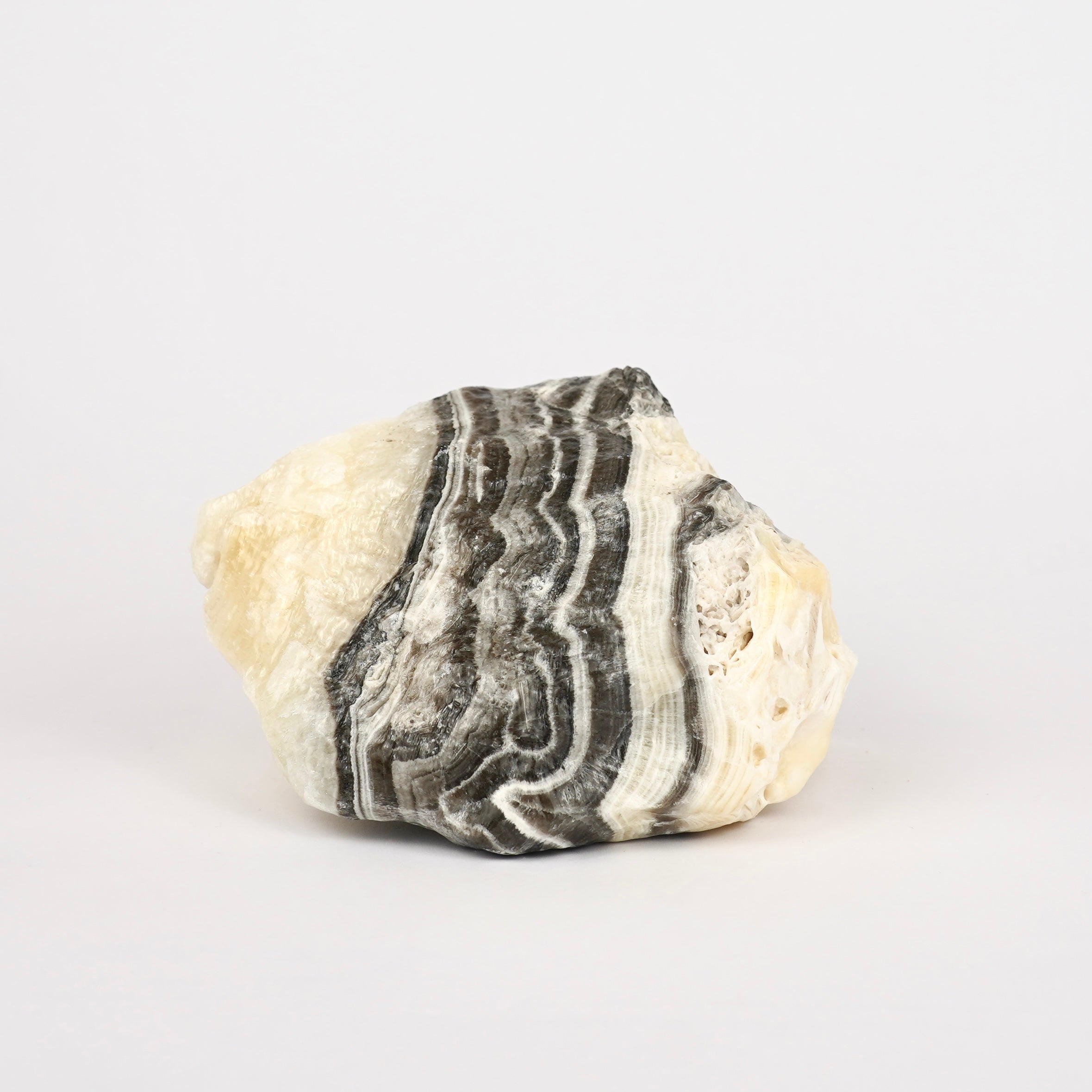 Zebra Calciet Ruw Nr. 351