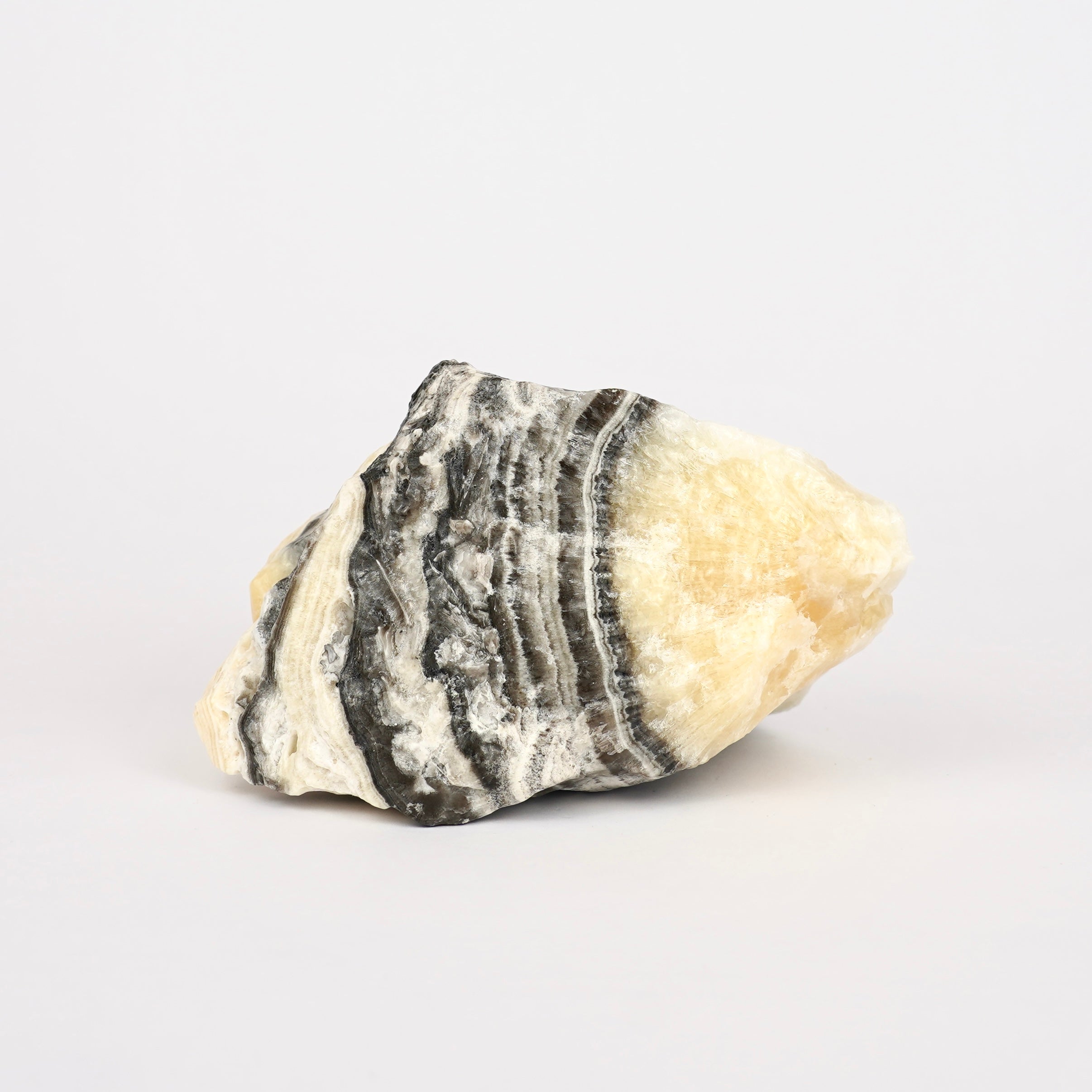 Zebra Calciet Ruw Nr. 351