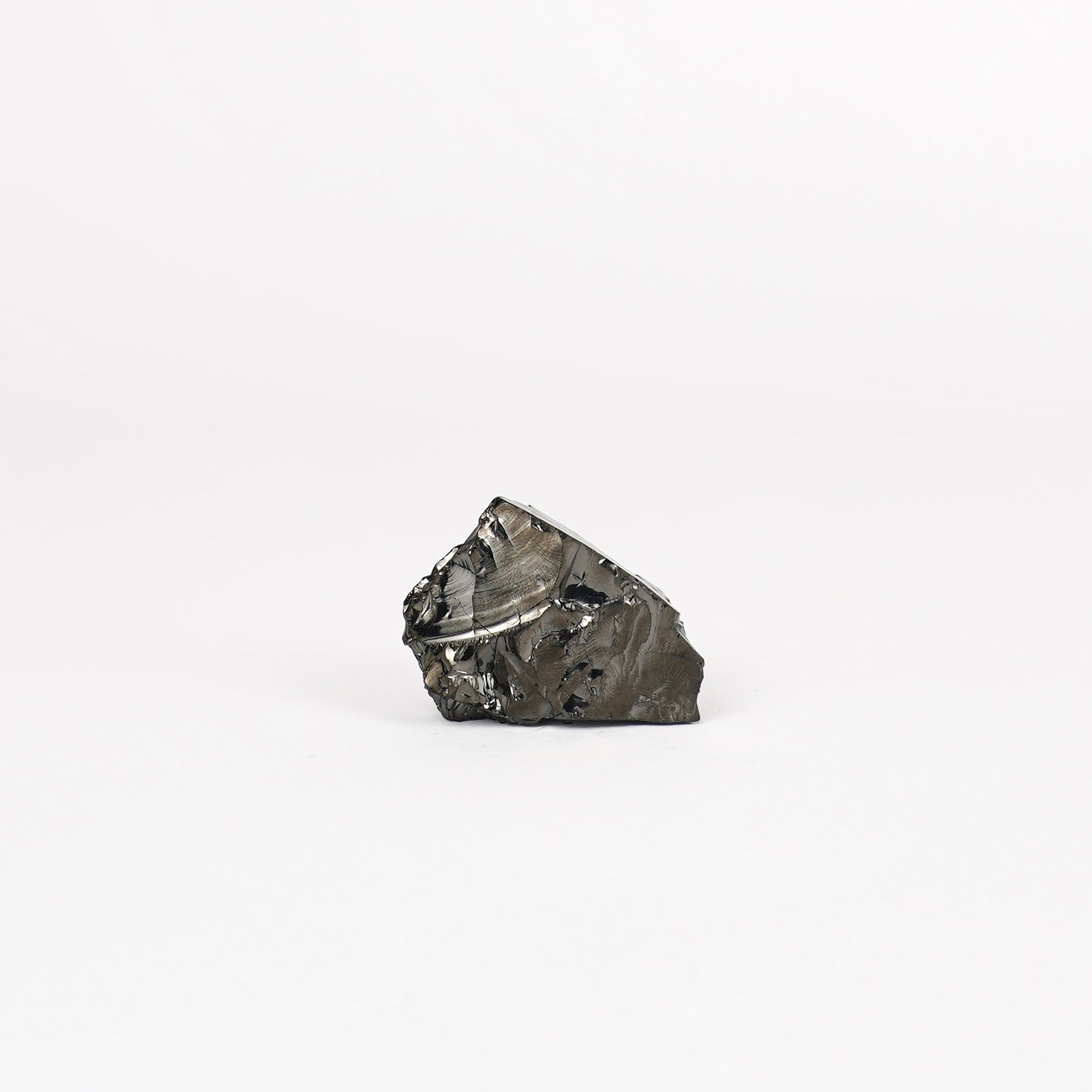 Shungite Ruw Nr. 544