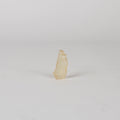 Libyan Desert Glass LDG2