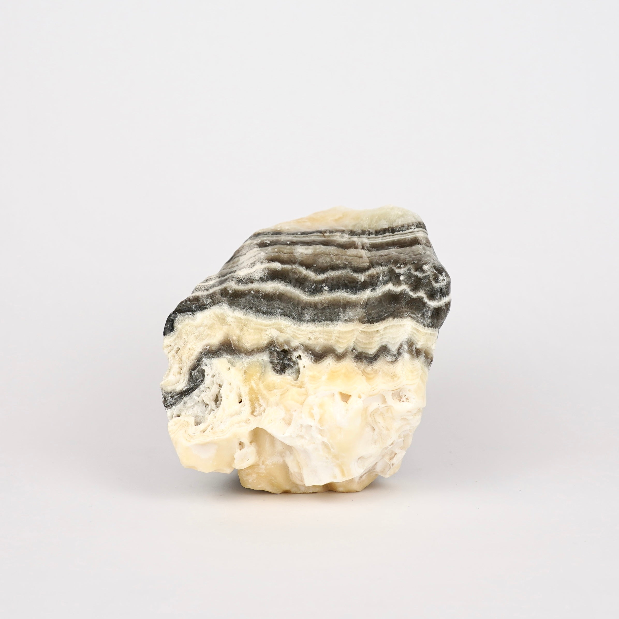 Zebra Calciet Ruw Nr. 351