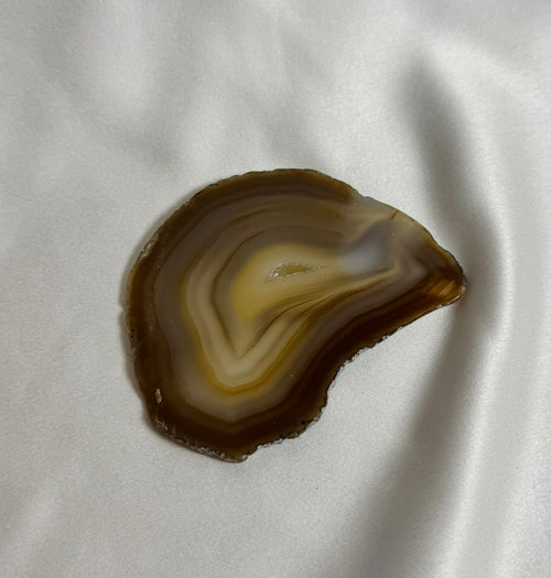 Agate Slice No. 305