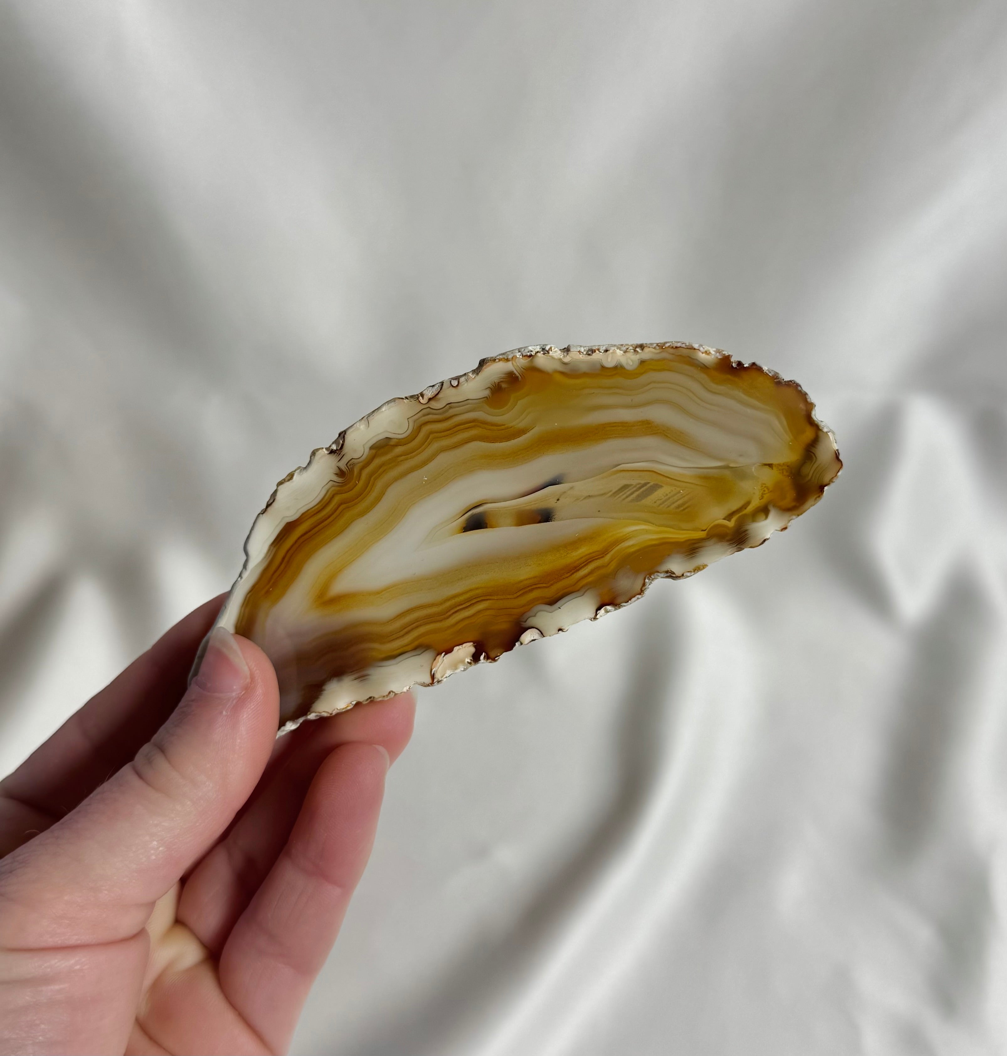 Agaat Schijf Nr. 304