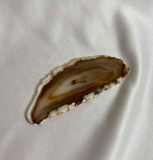 Agate Slice No. 304