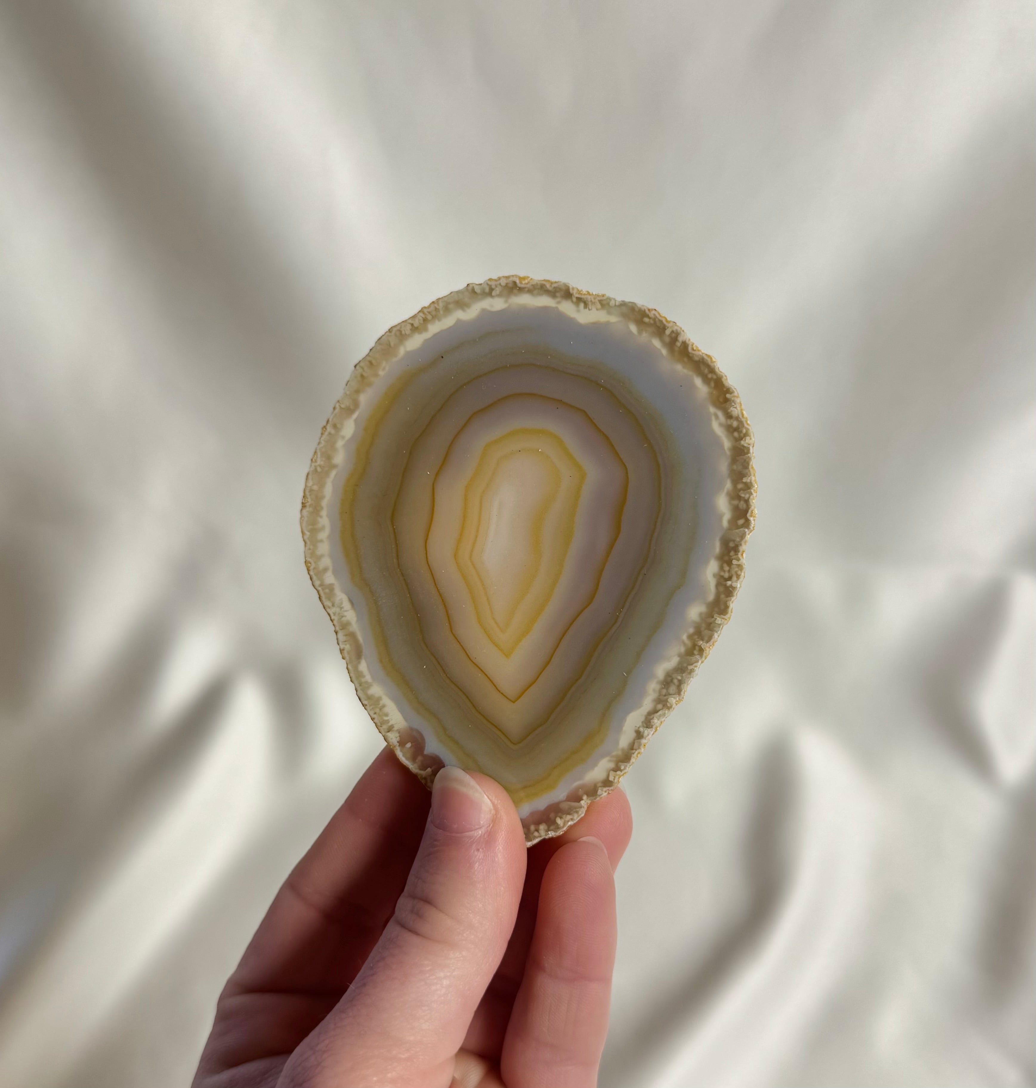 Agaat Schijf Nr. 296