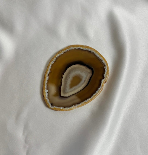 Agate Slice No. 299