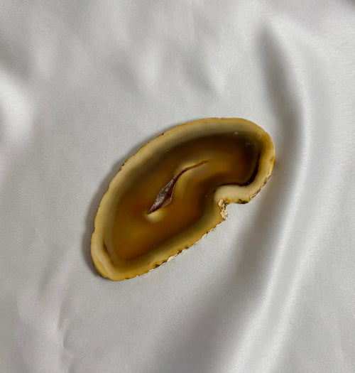 Agate Slice No. 300