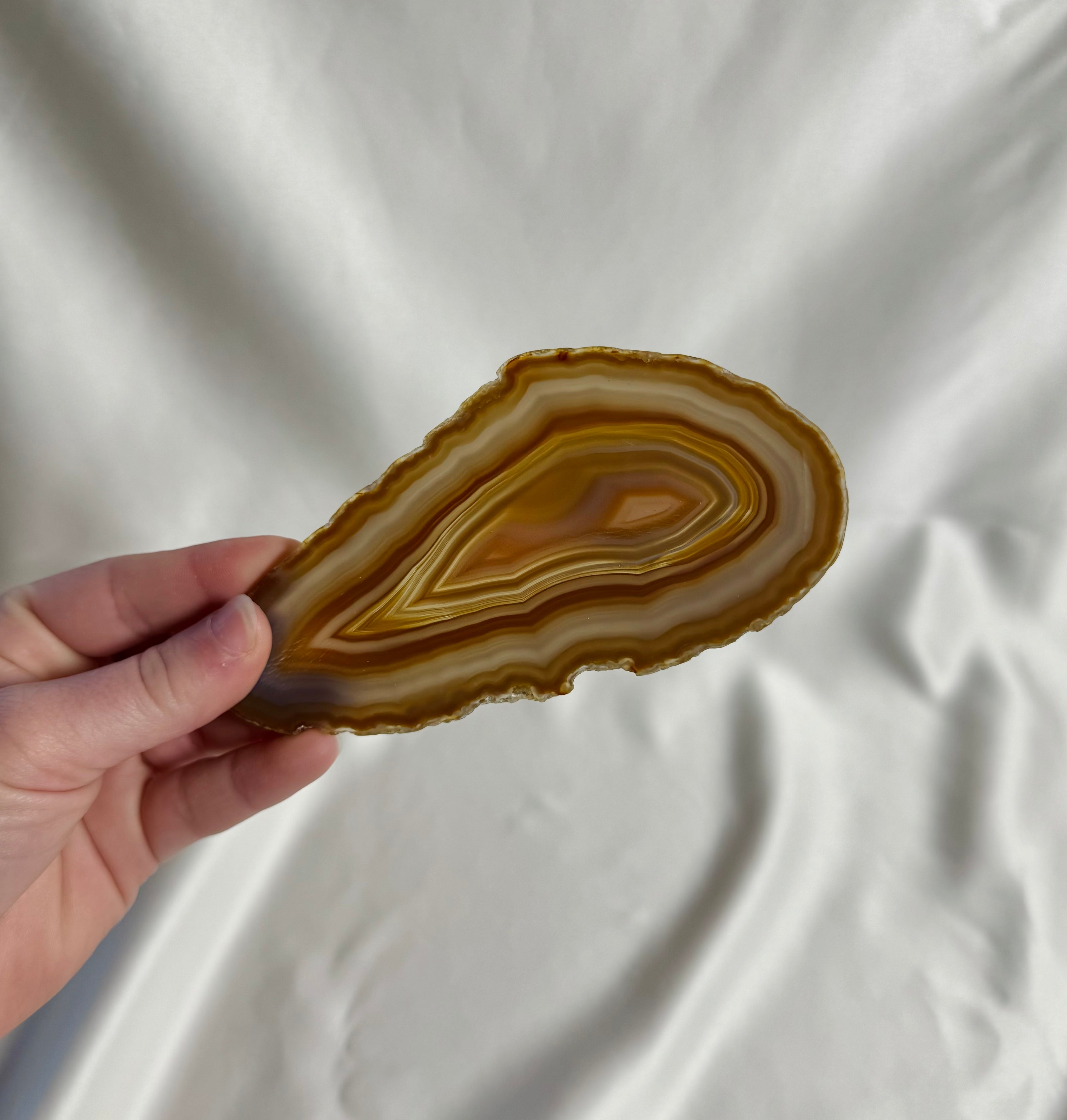 Agaat Schijf Nr. 294