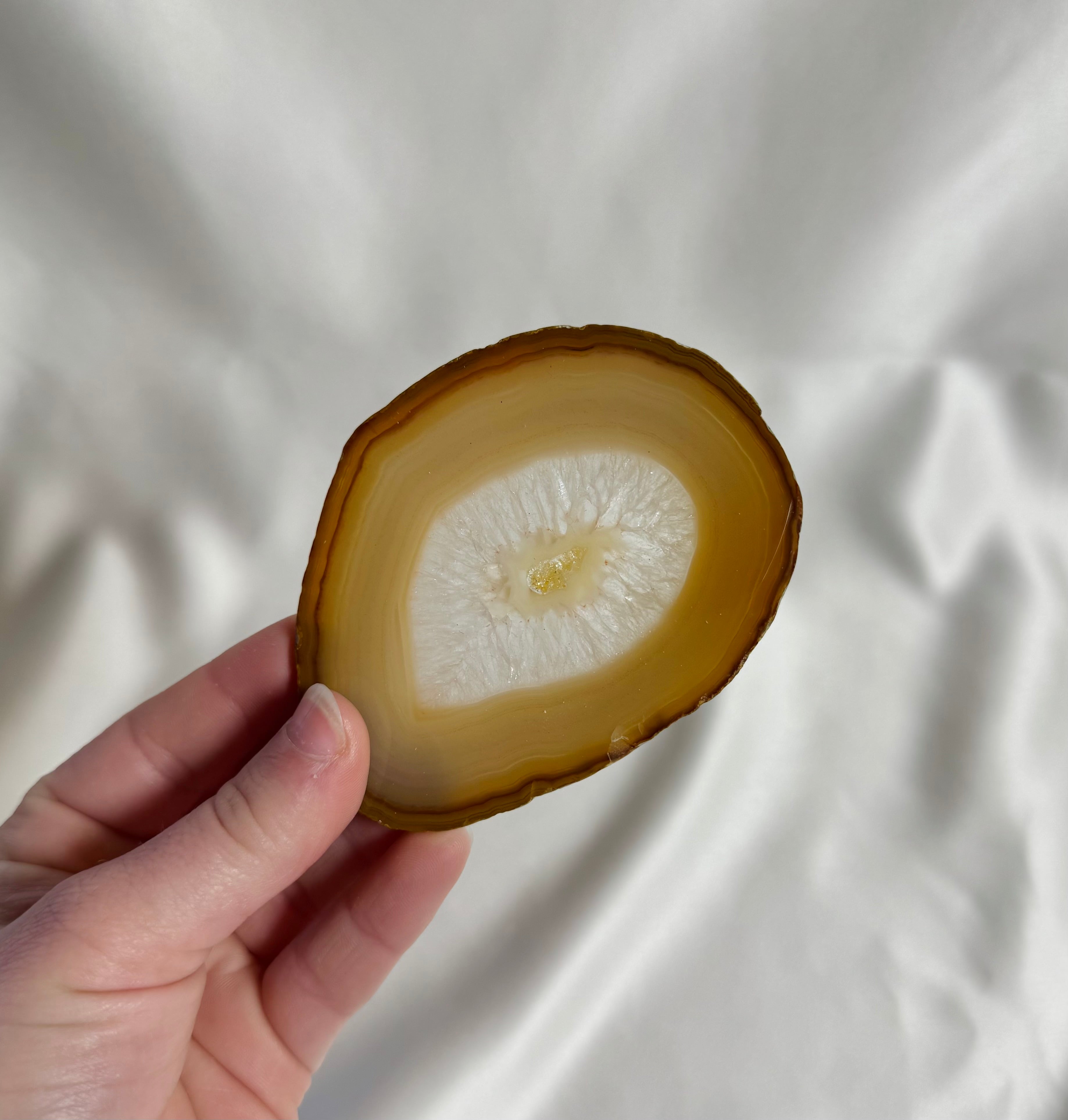 Agaat Schijf Nr. 295