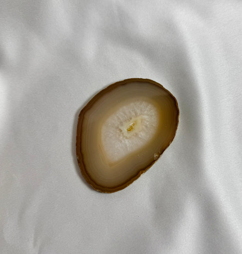 Agate Slice No. 295