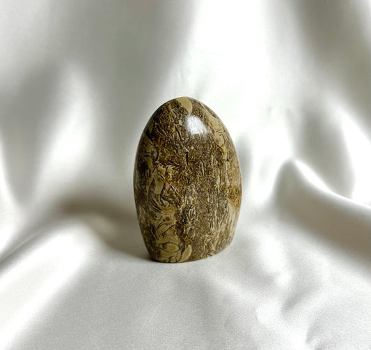 Schelp Jaspis Sculptuur Nr. 76