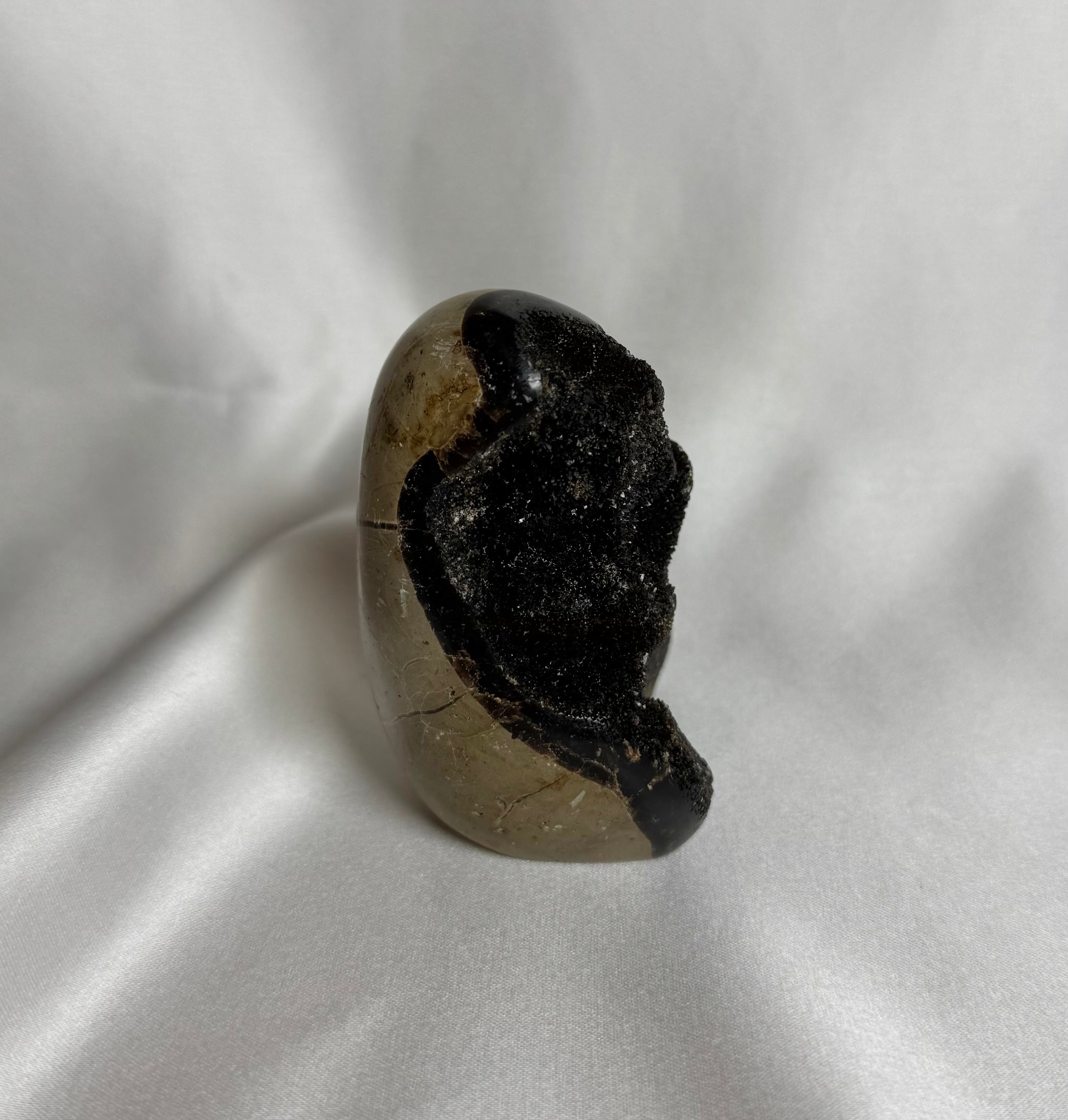 Septarie Sculptuur Nr. 339