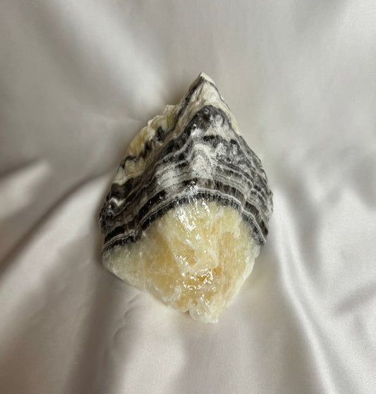 Zebra Calciet Ruw Nr. 351