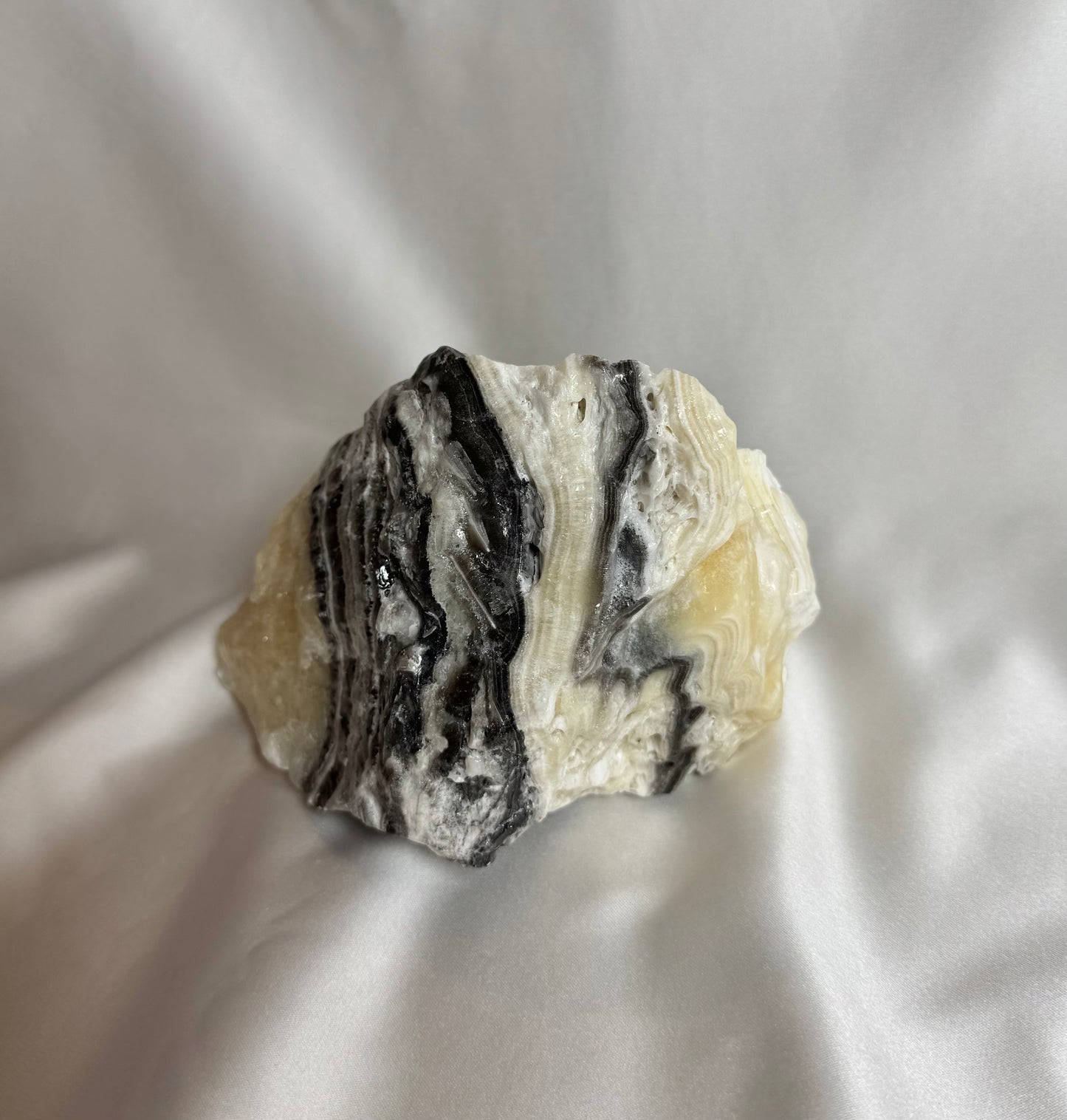 Zebra Calciet Ruw Nr. 351