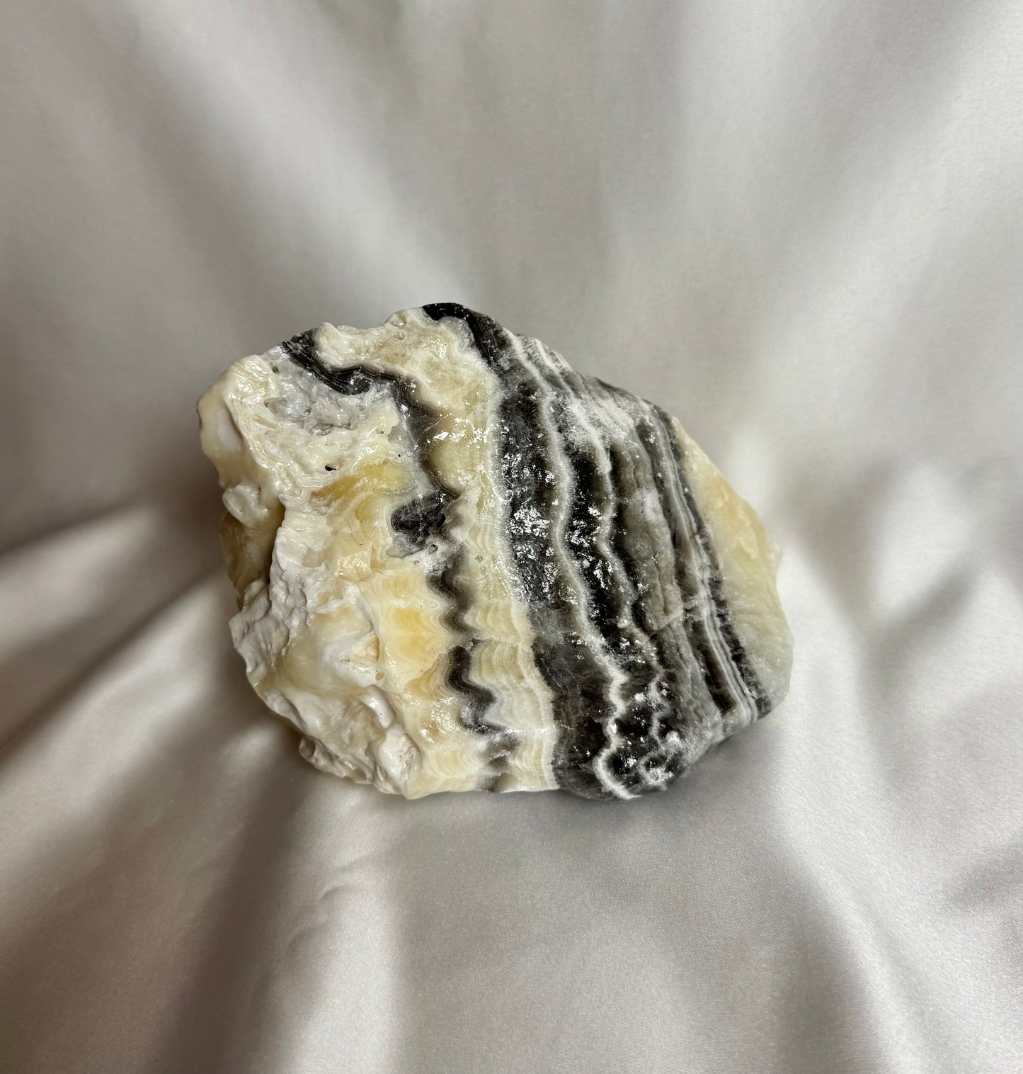 Zebra Calciet Ruw Nr. 351