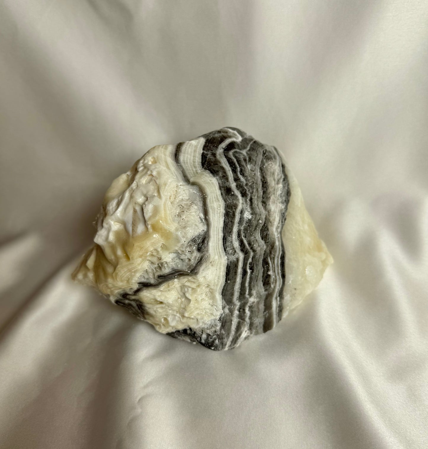 Zebra Calciet Ruw Nr. 351