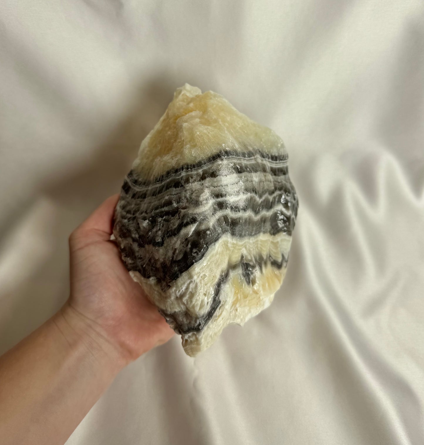 Zebra Calciet Ruw Nr. 351