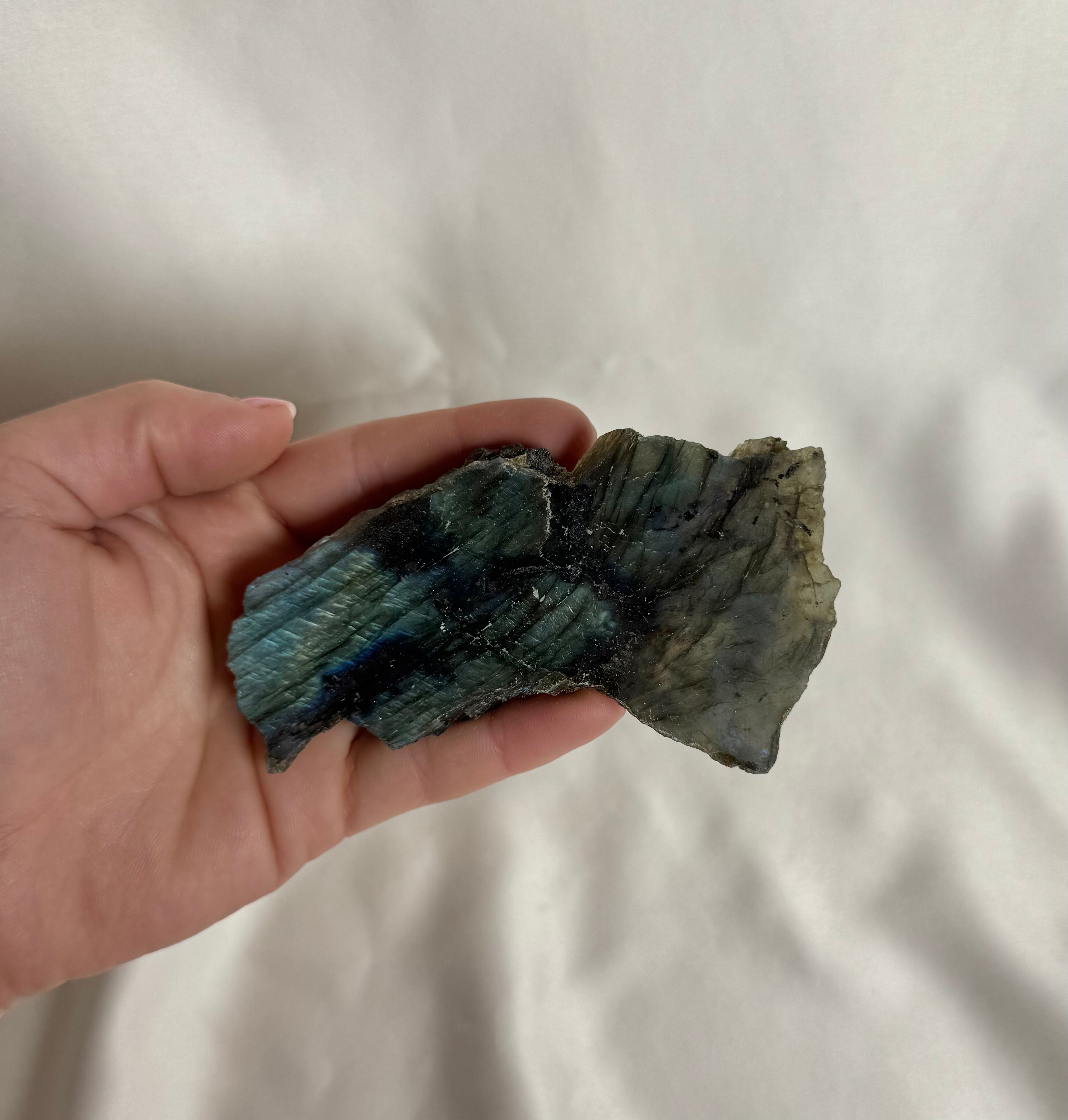 Labradoriet Ruw Nr. 353