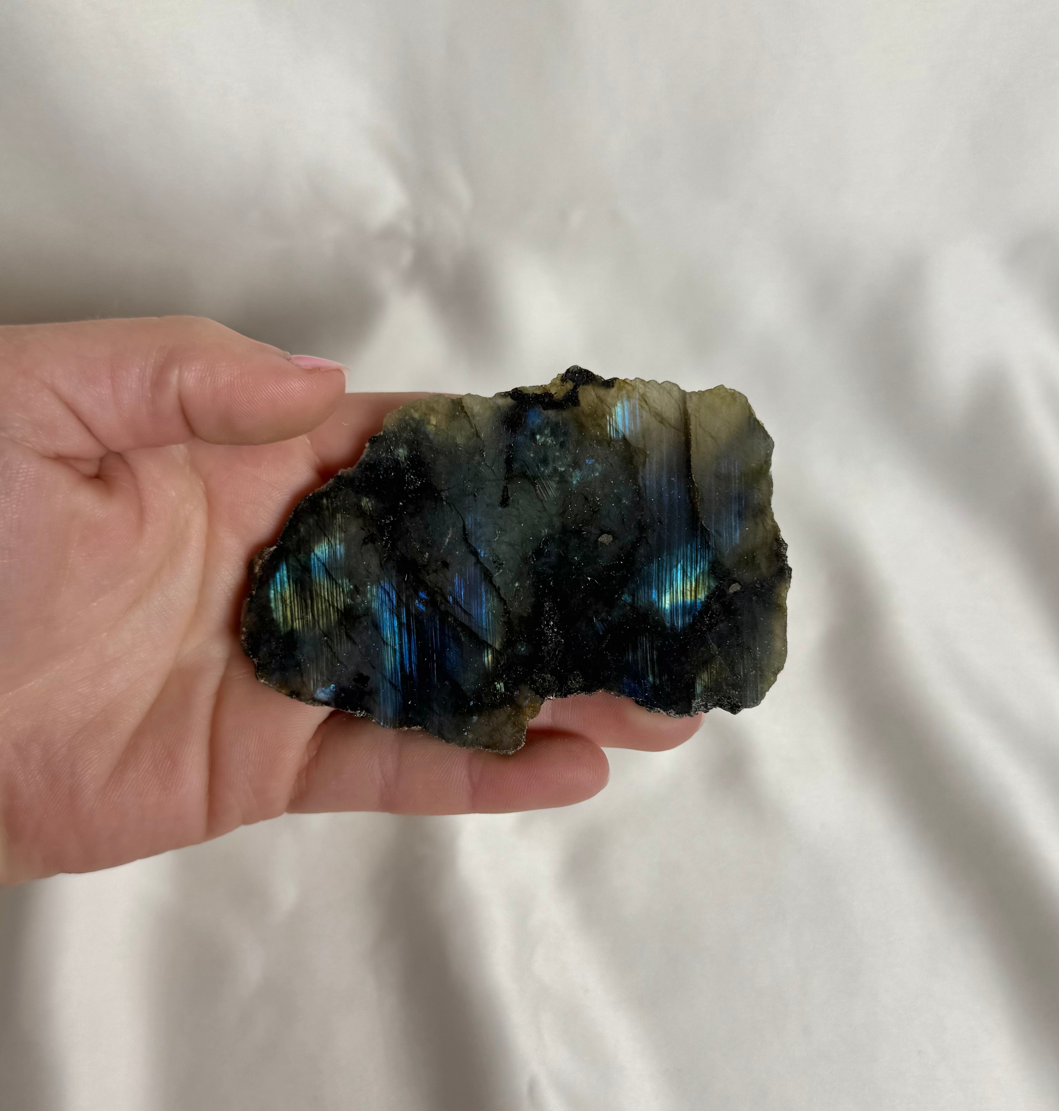 Labradoriet Ruw Nr. 355