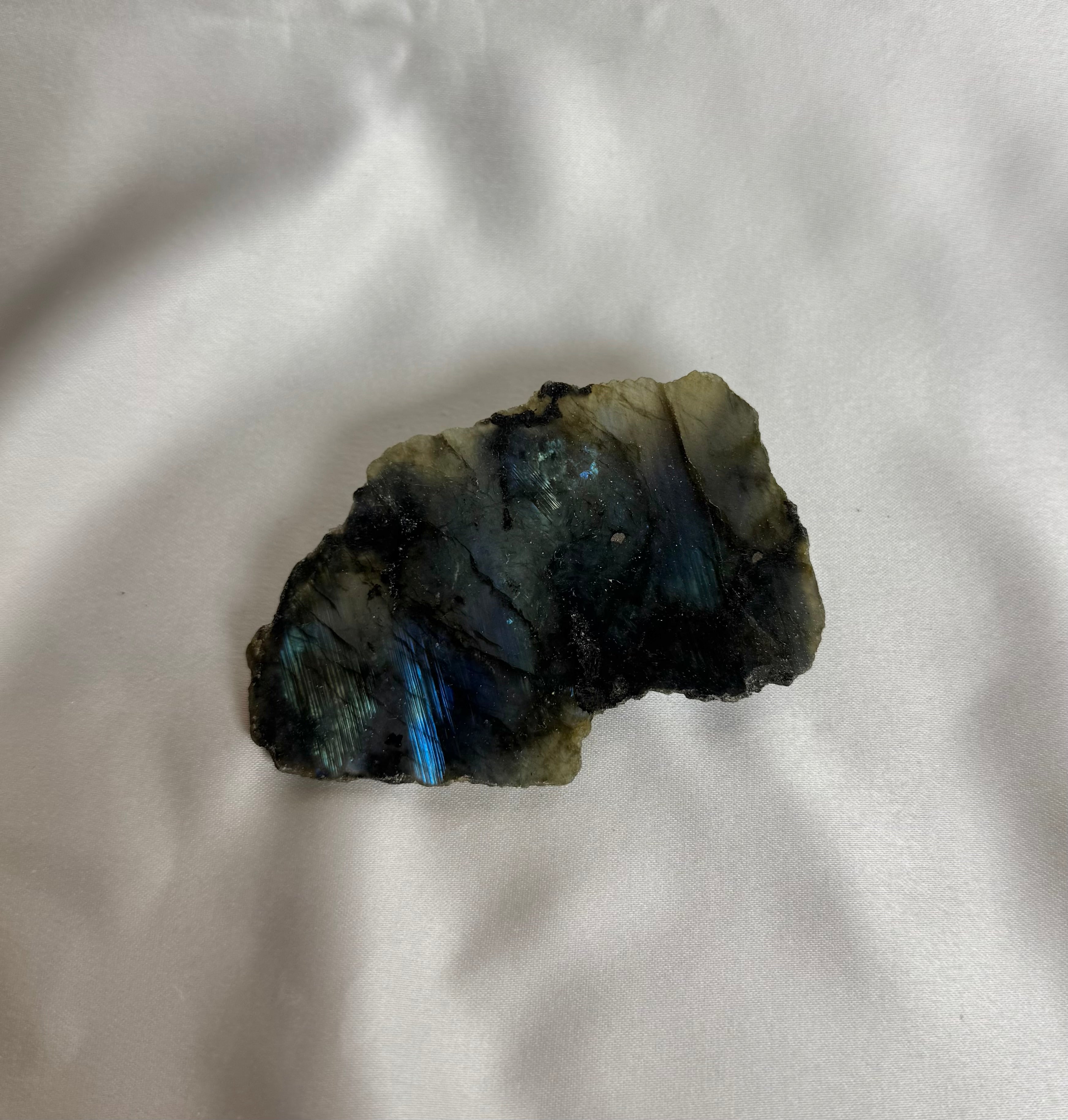 Labradoriet Ruw Nr. 355