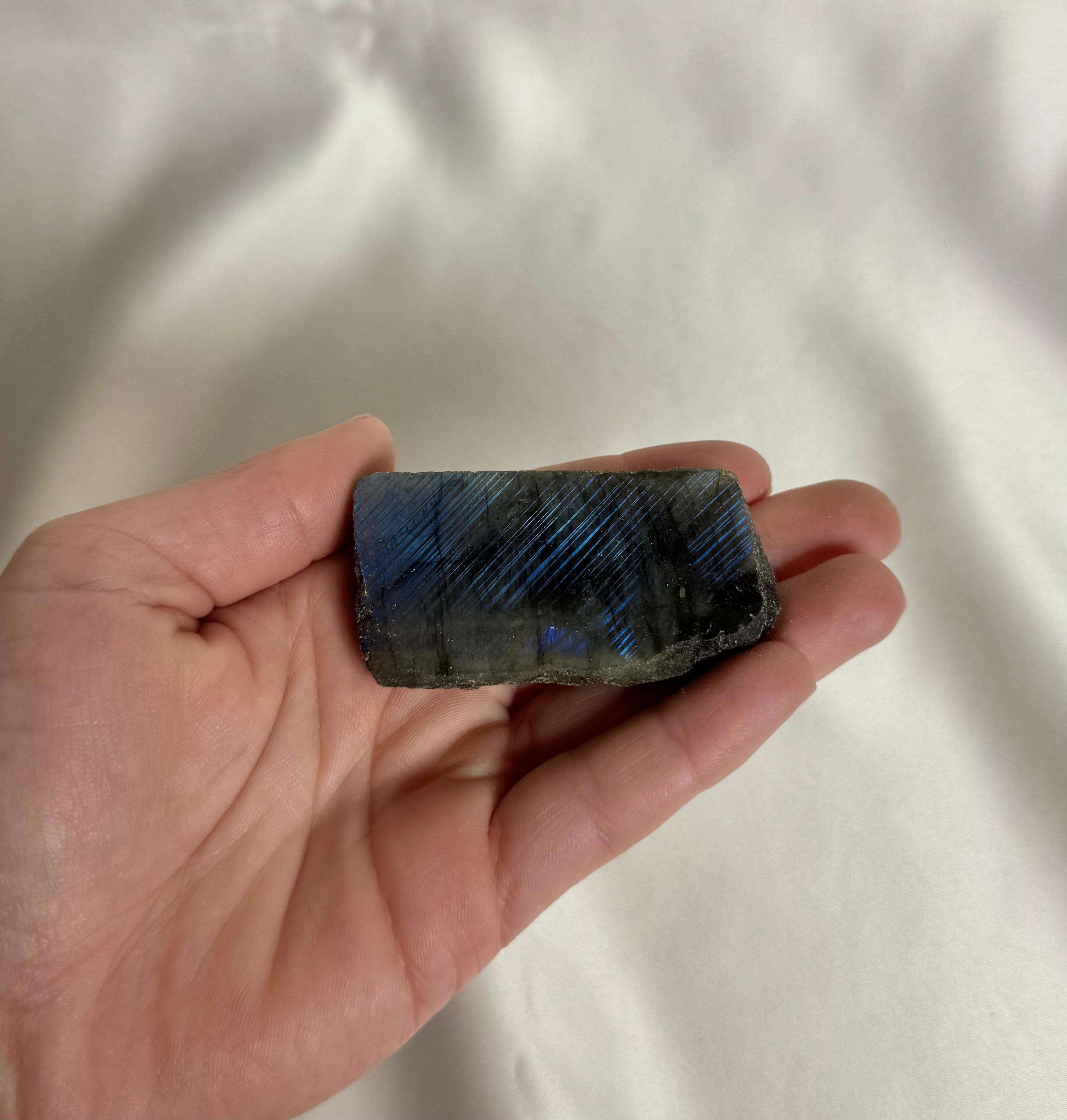 Labradoriet Ruw Nr. 358