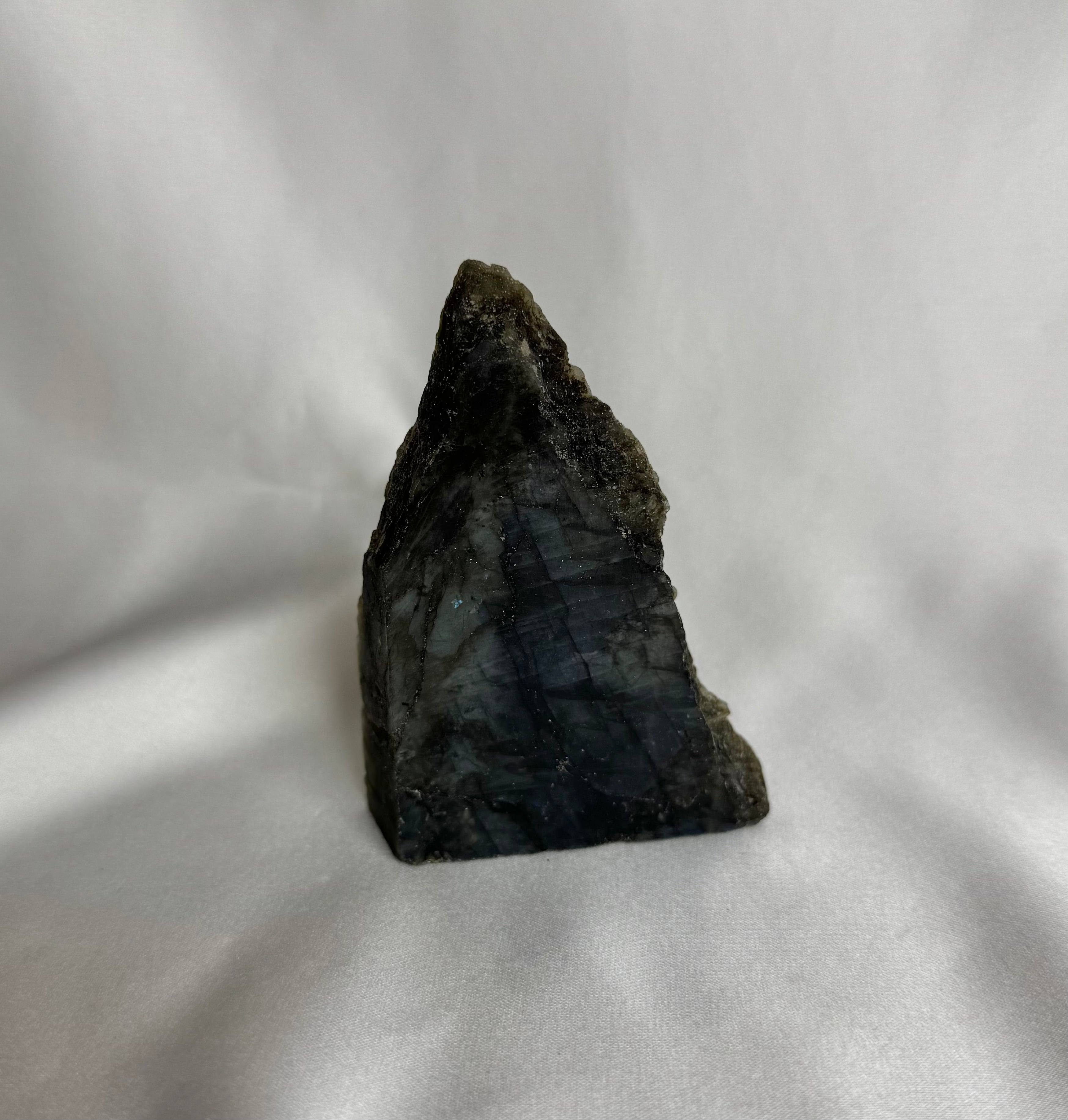 Labradoriet Ruw Nr. 360